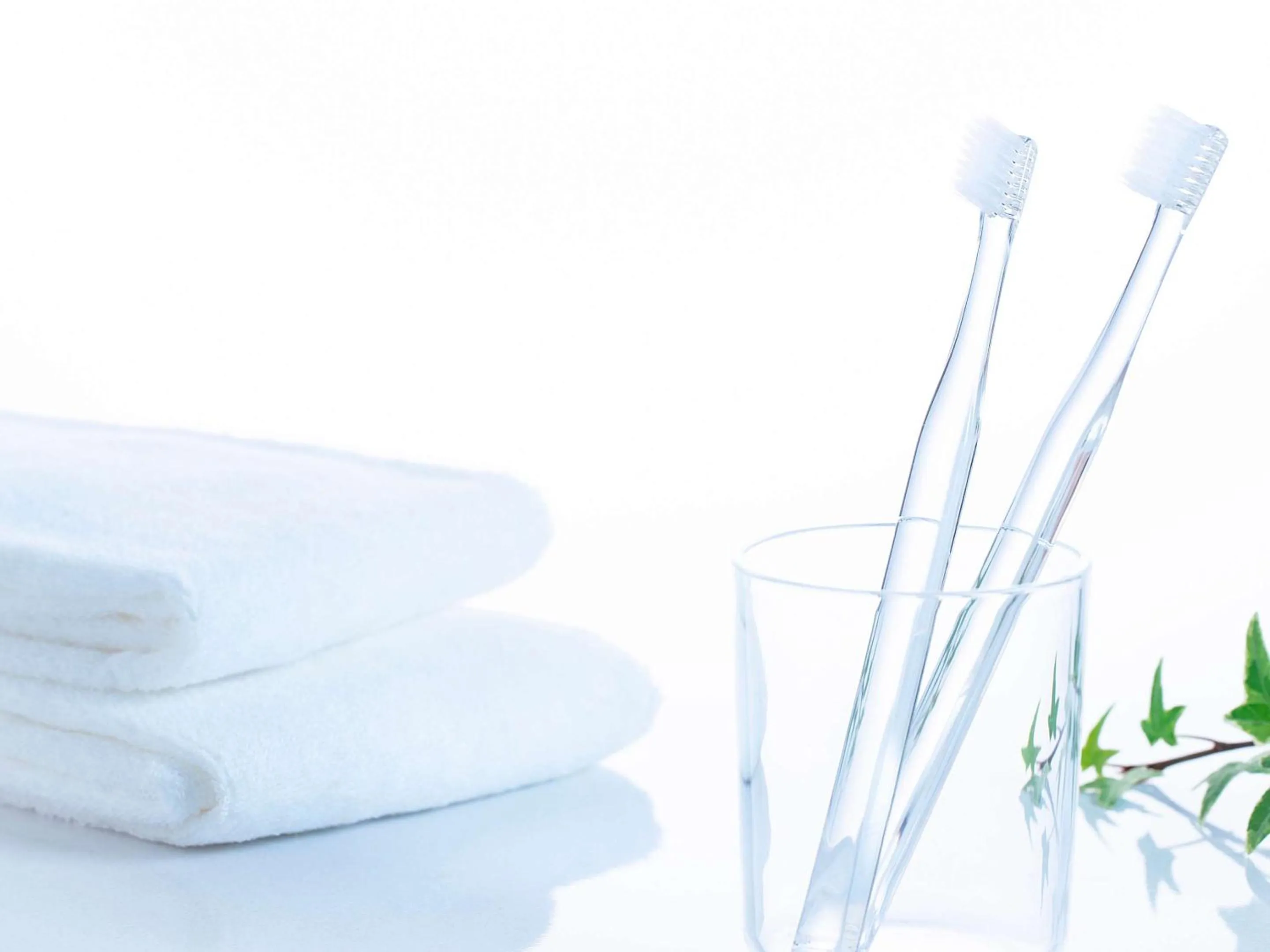 Other in Comfort Inn Niigata Kameda