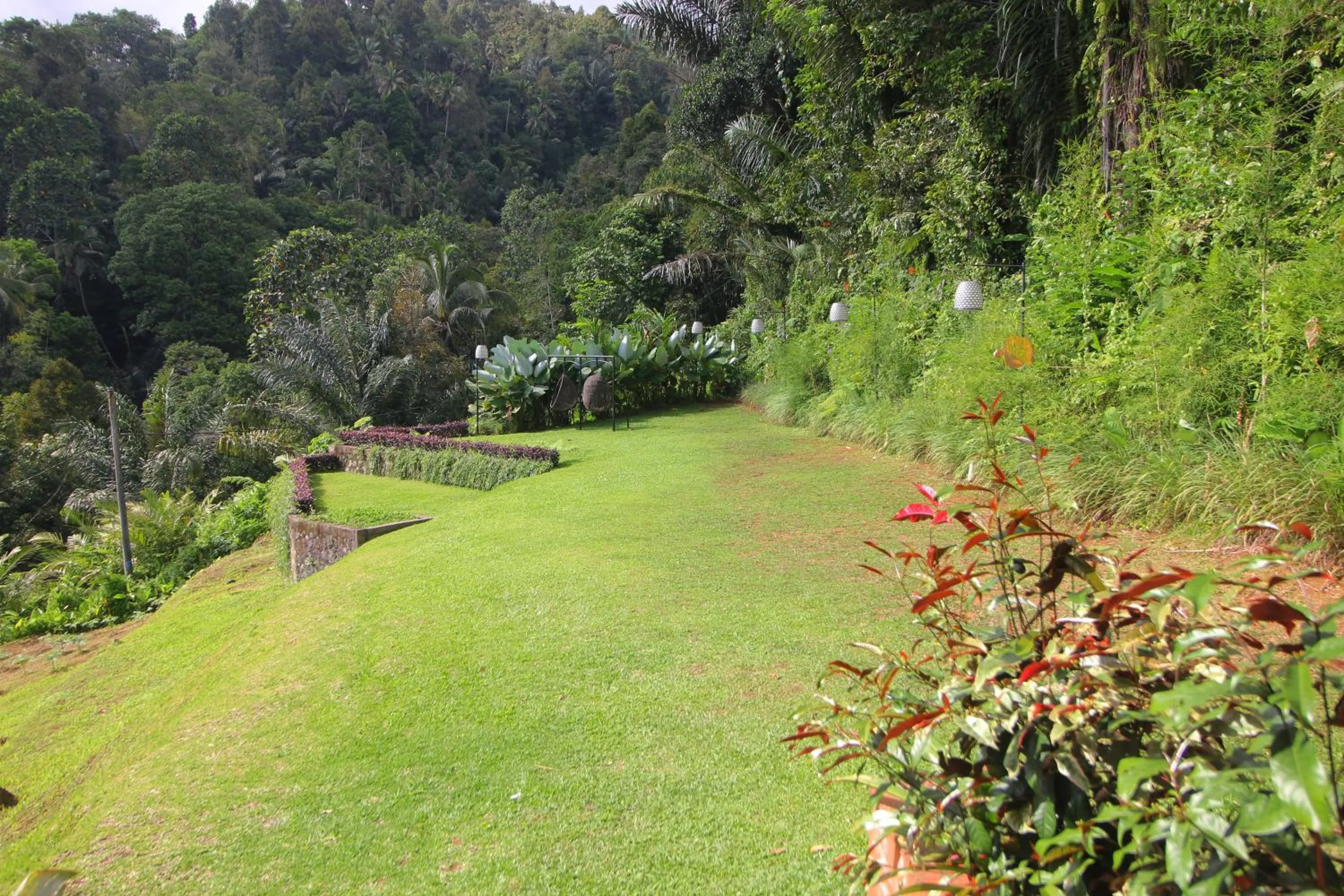 Garden view in Patal Kikian Villa