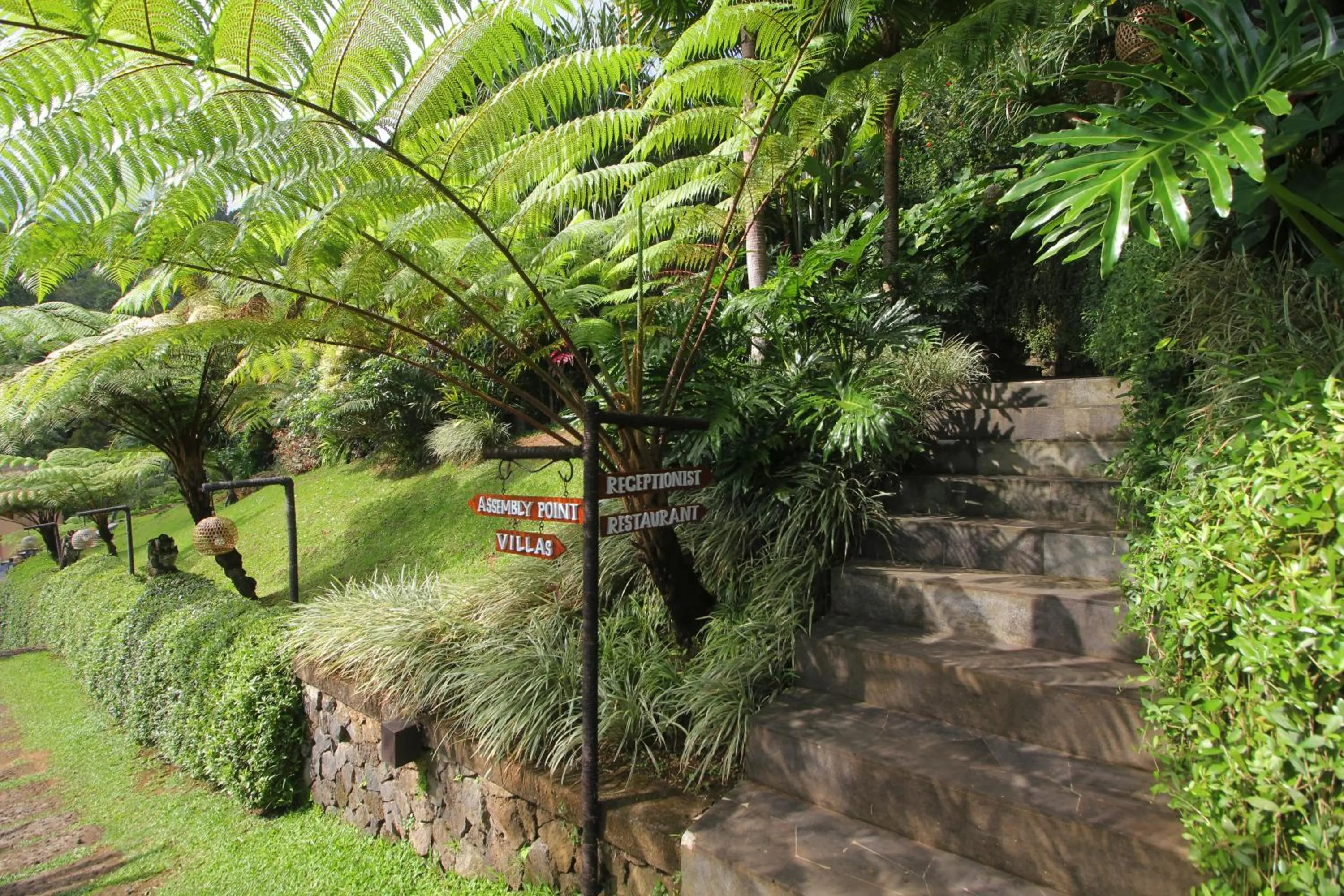 Garden view in Patal Kikian Villa