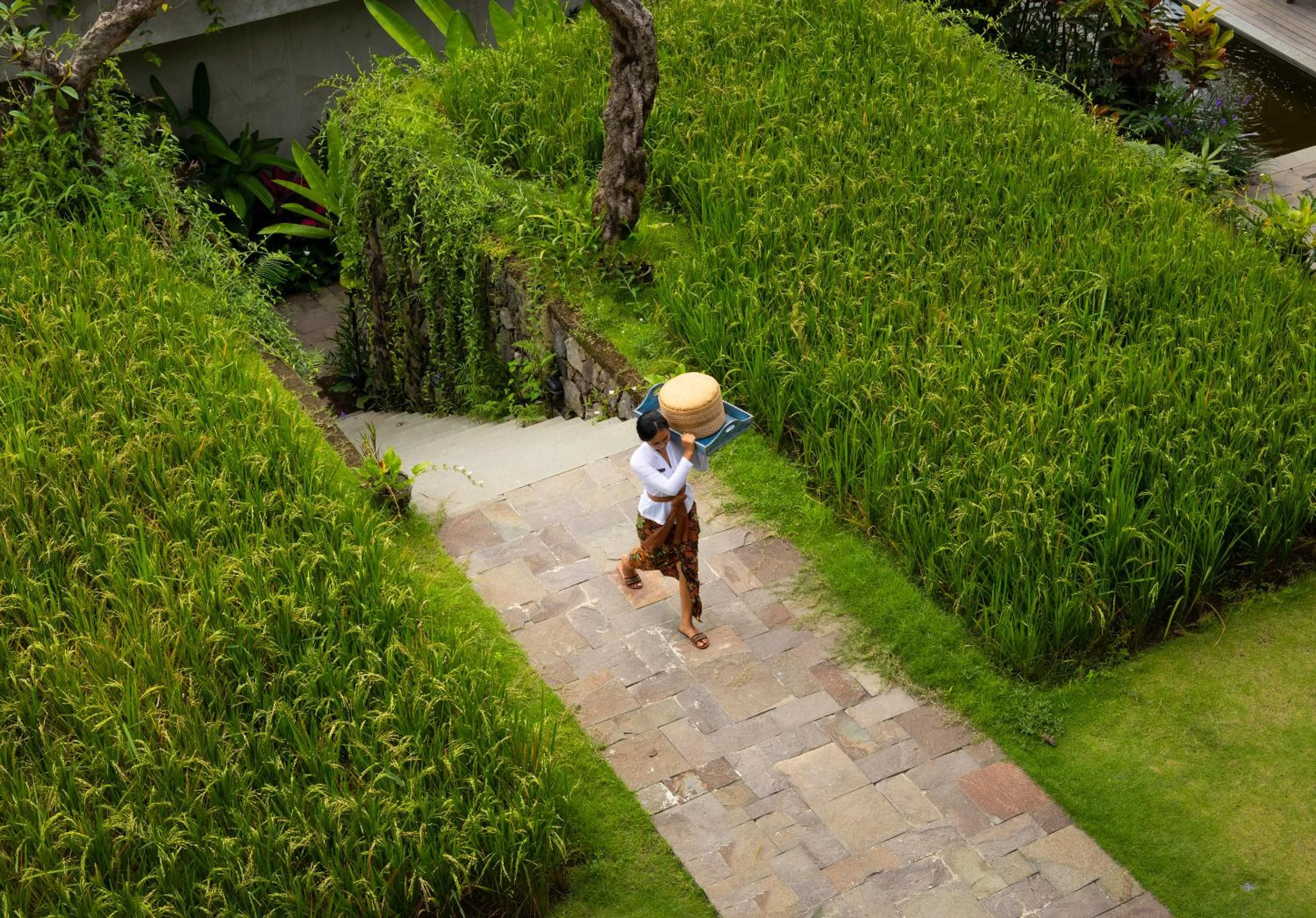 Staff in Adiwana Suweta