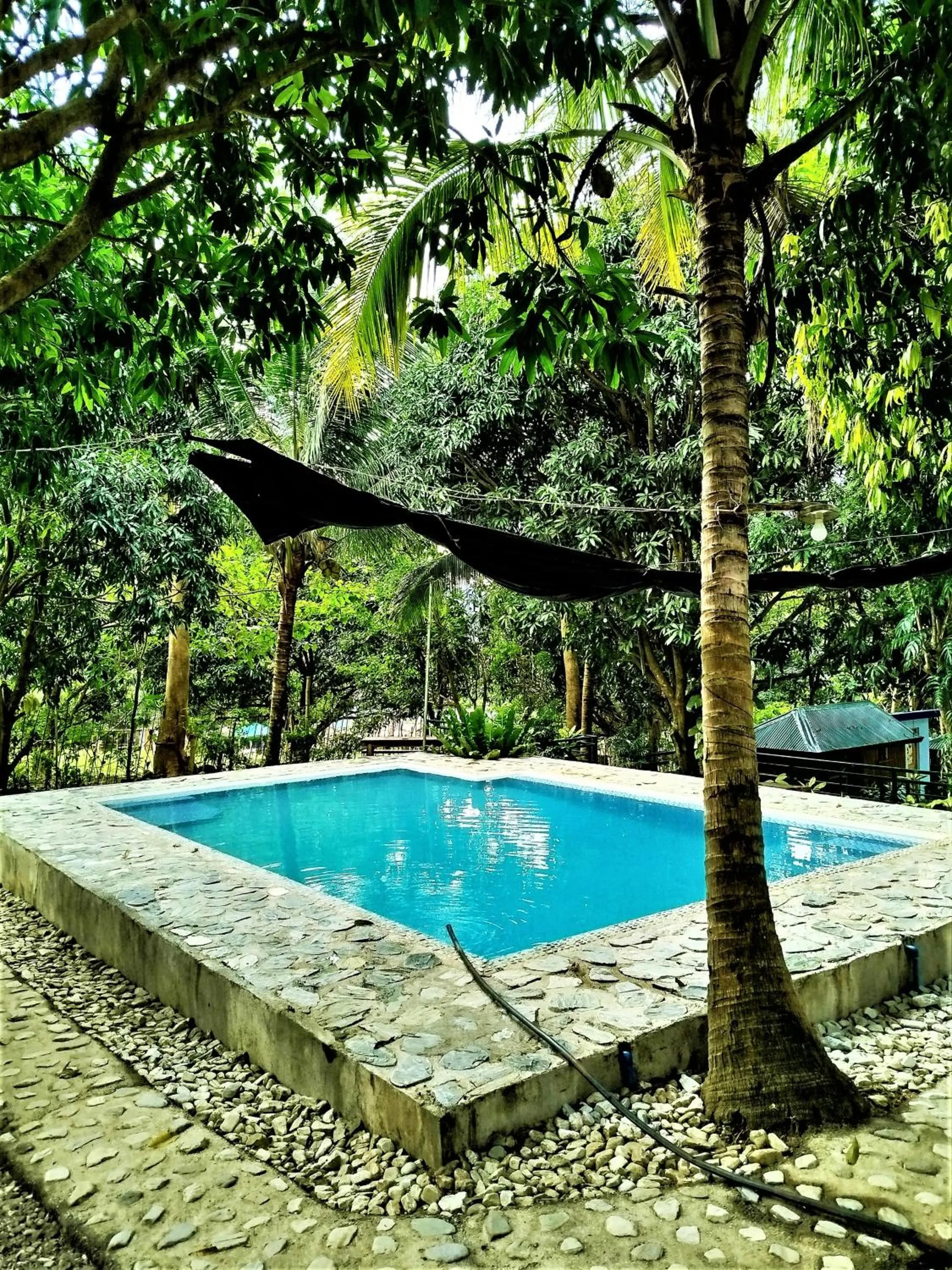 Swimming pool in Rea's Bamboo Resort