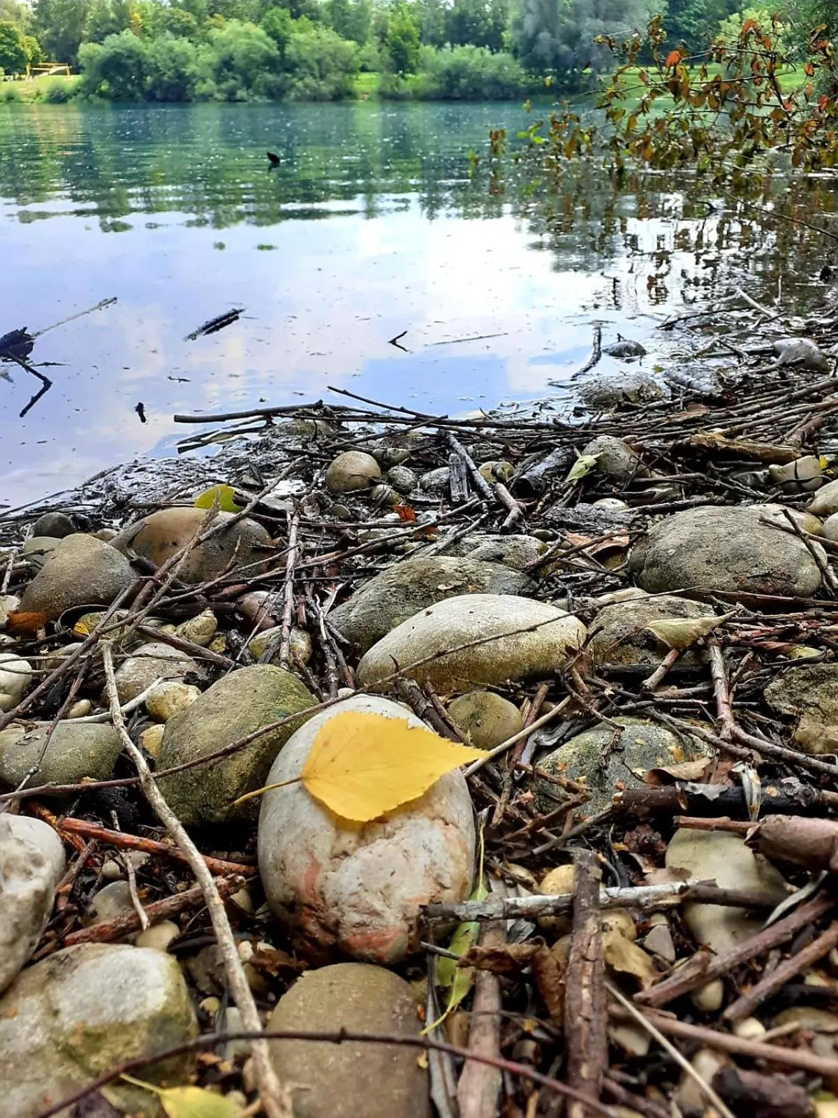 Hiking in Haidinger's Boutique Domizil