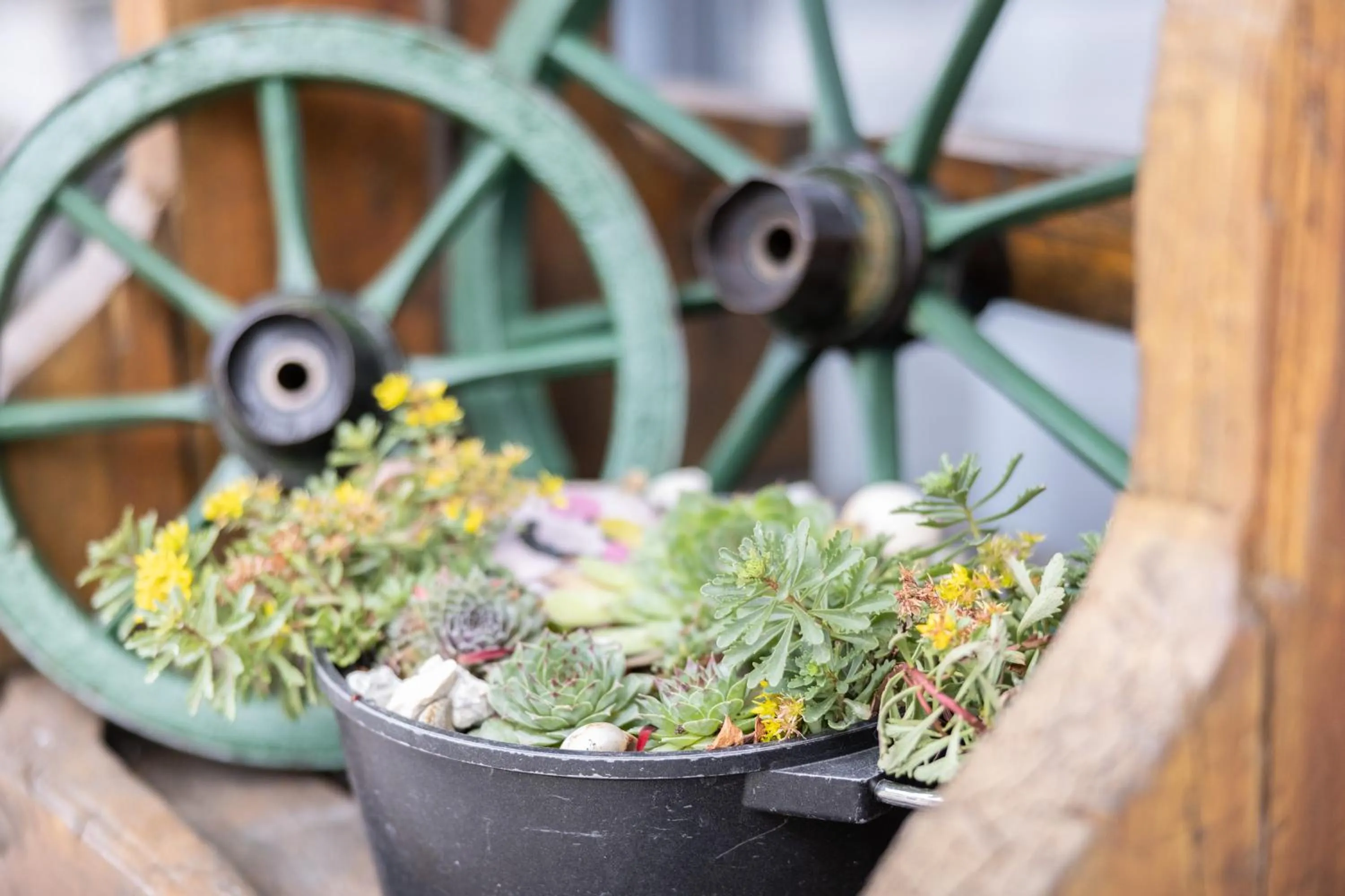 Day in Haidinger's Boutique Domizil