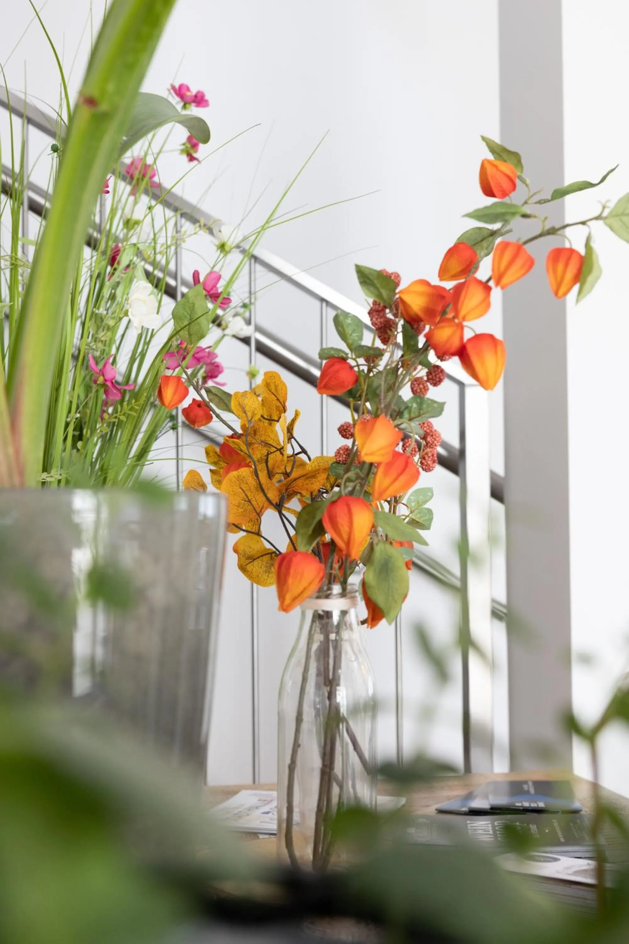 Haidinger's Boutique Domizil