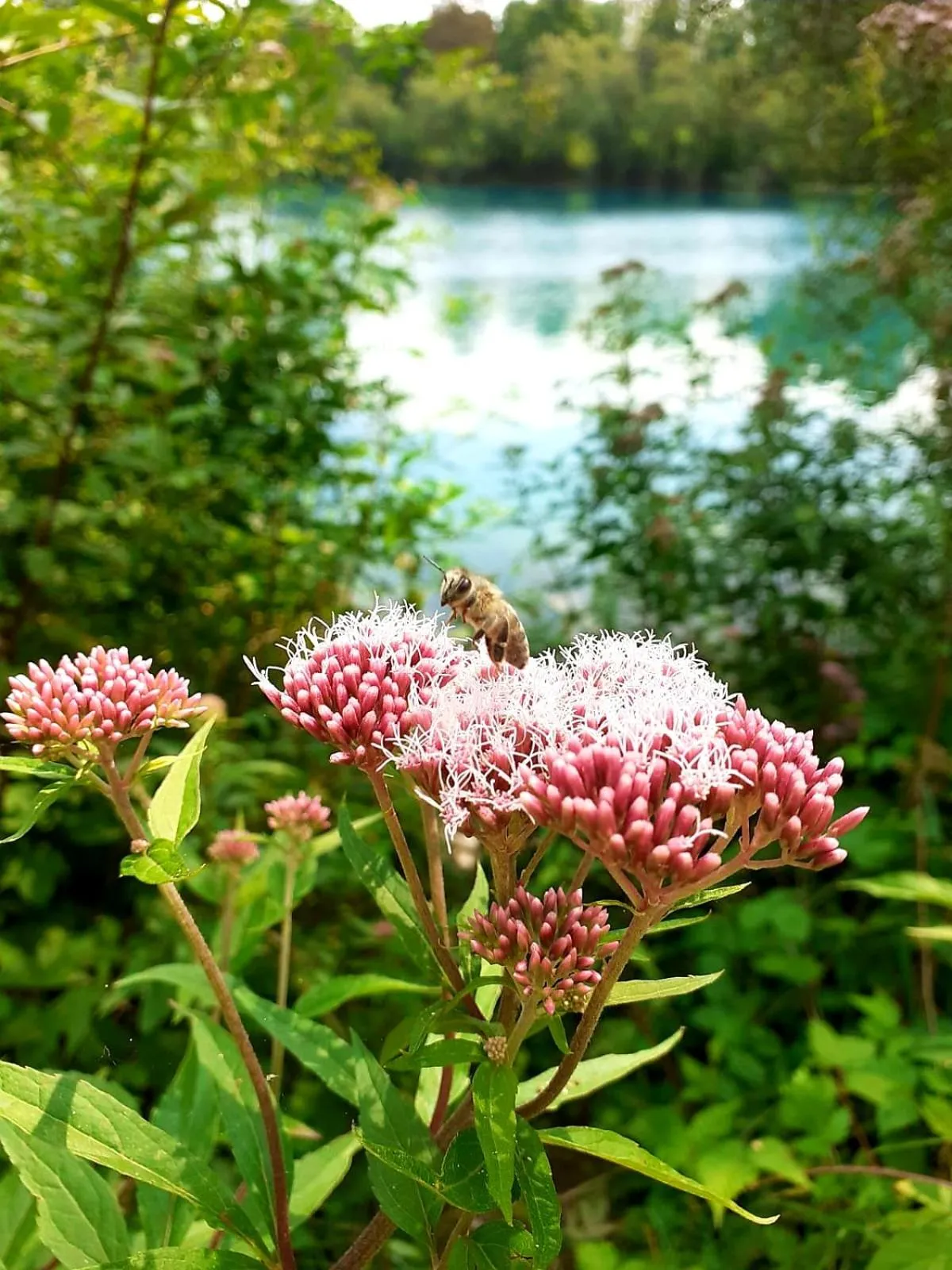 Hiking in Haidinger's Boutique Domizil