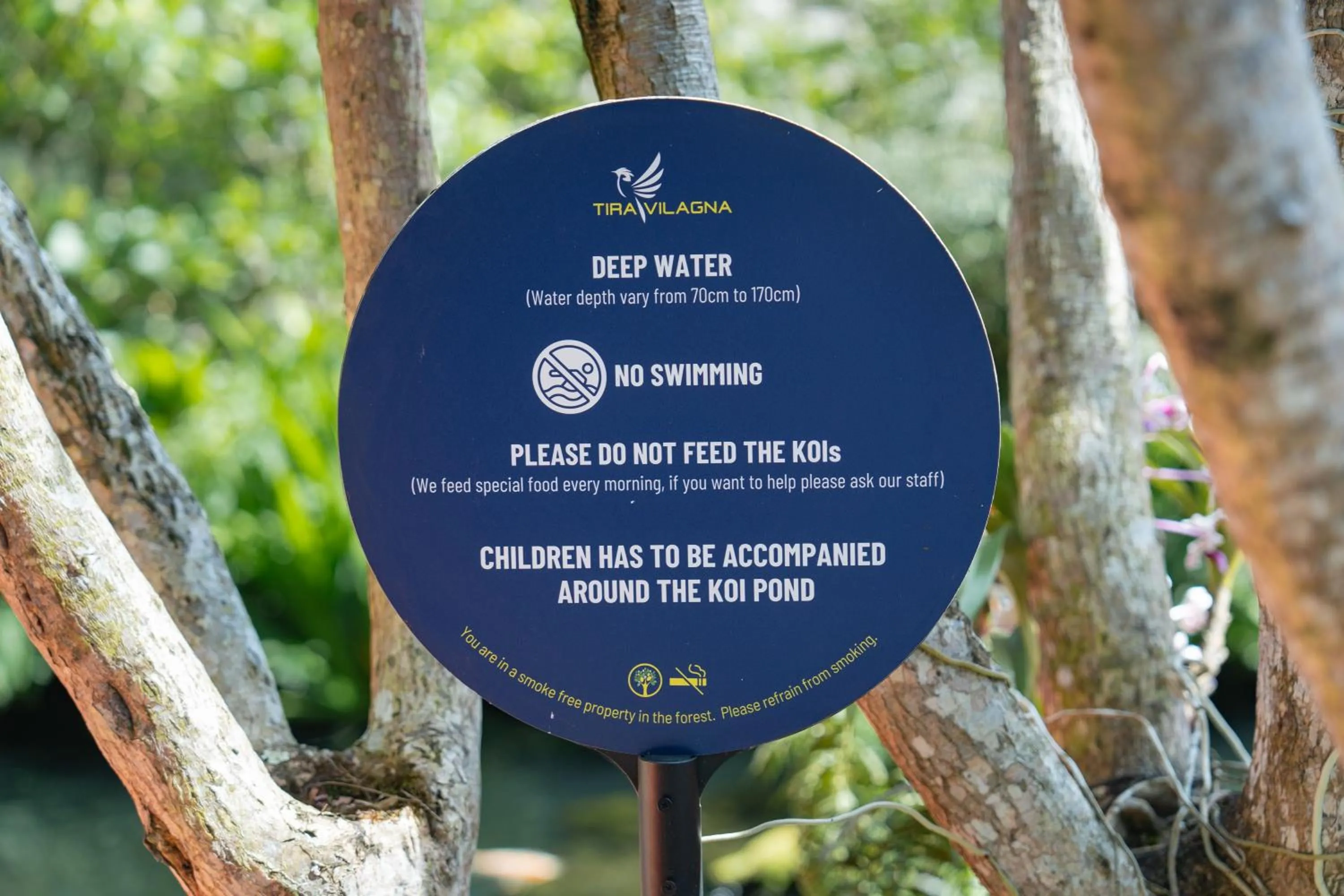 Day in Tira Vilagna Suites & Spa