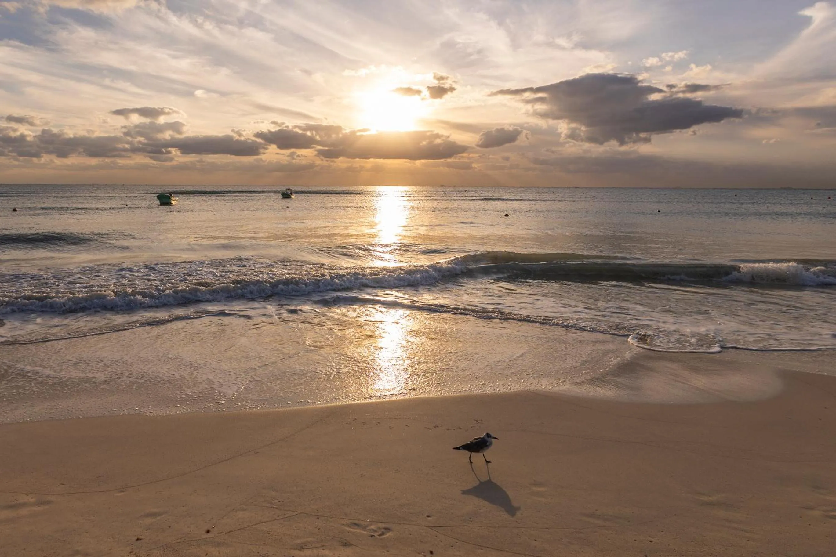 Day in Areia Playa del Carmen - Beach Front Hotel
