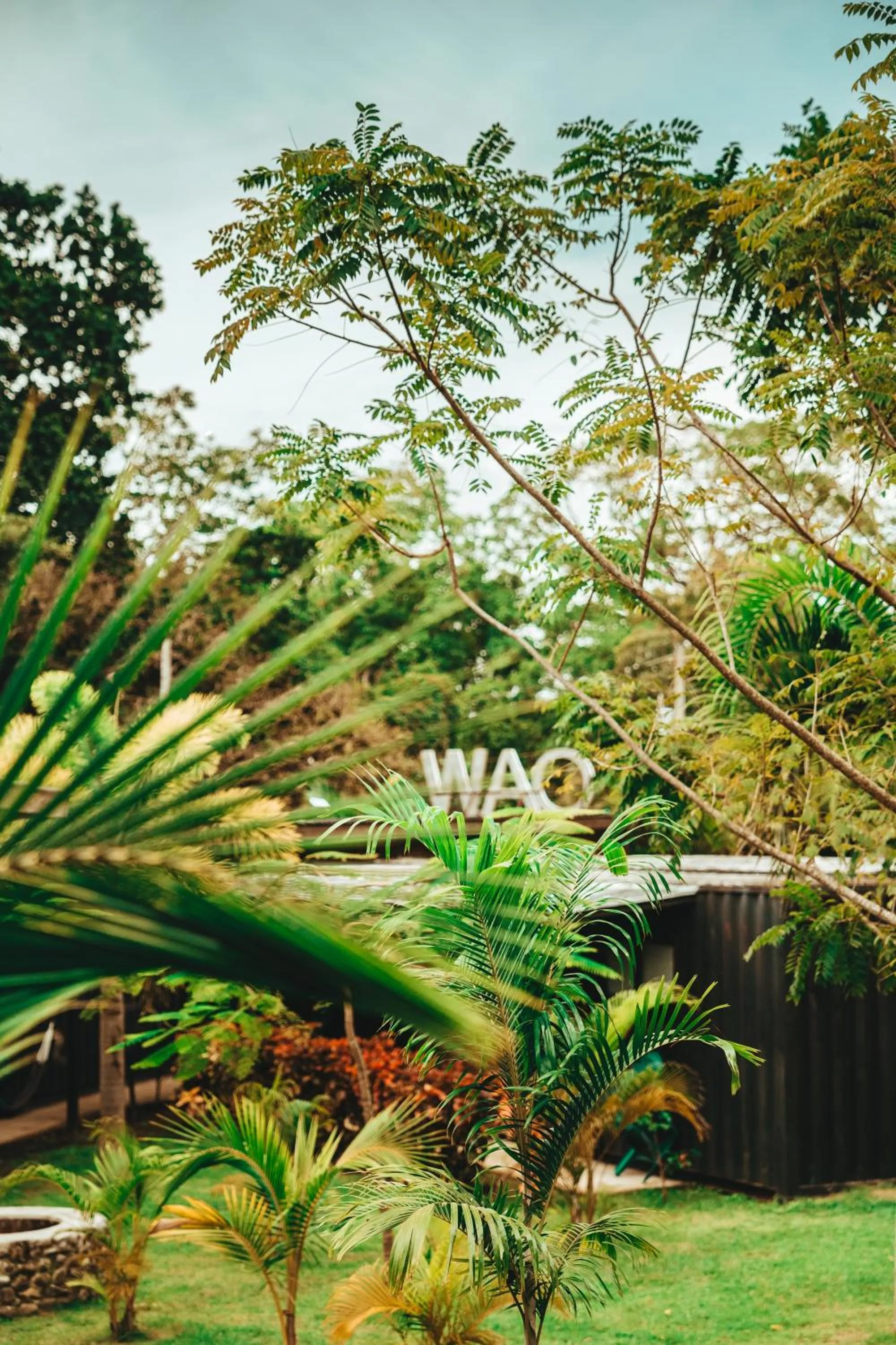 Garden view in Wao Jungle Venao