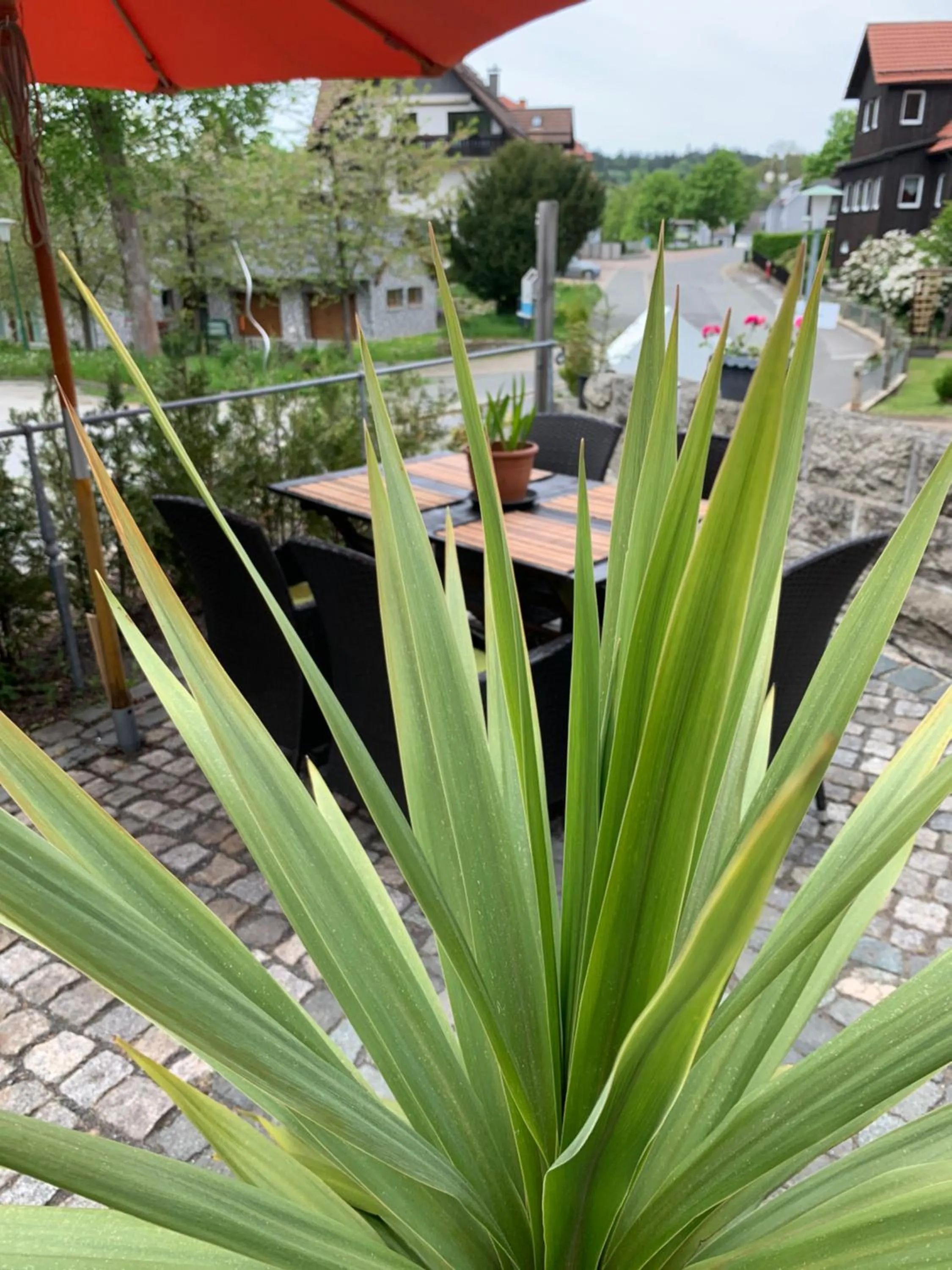 Property building in Hotel-Pension Teutonia