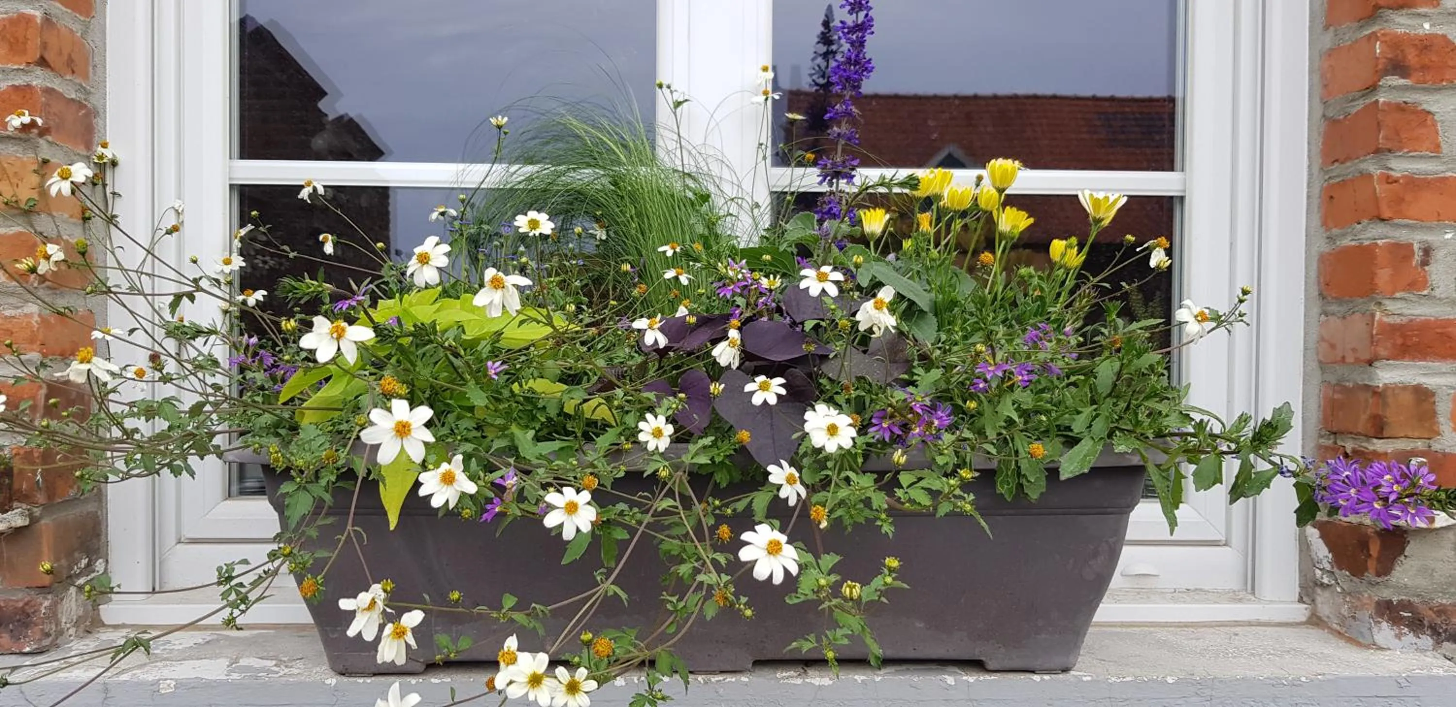 Property building in La Ceriseraie