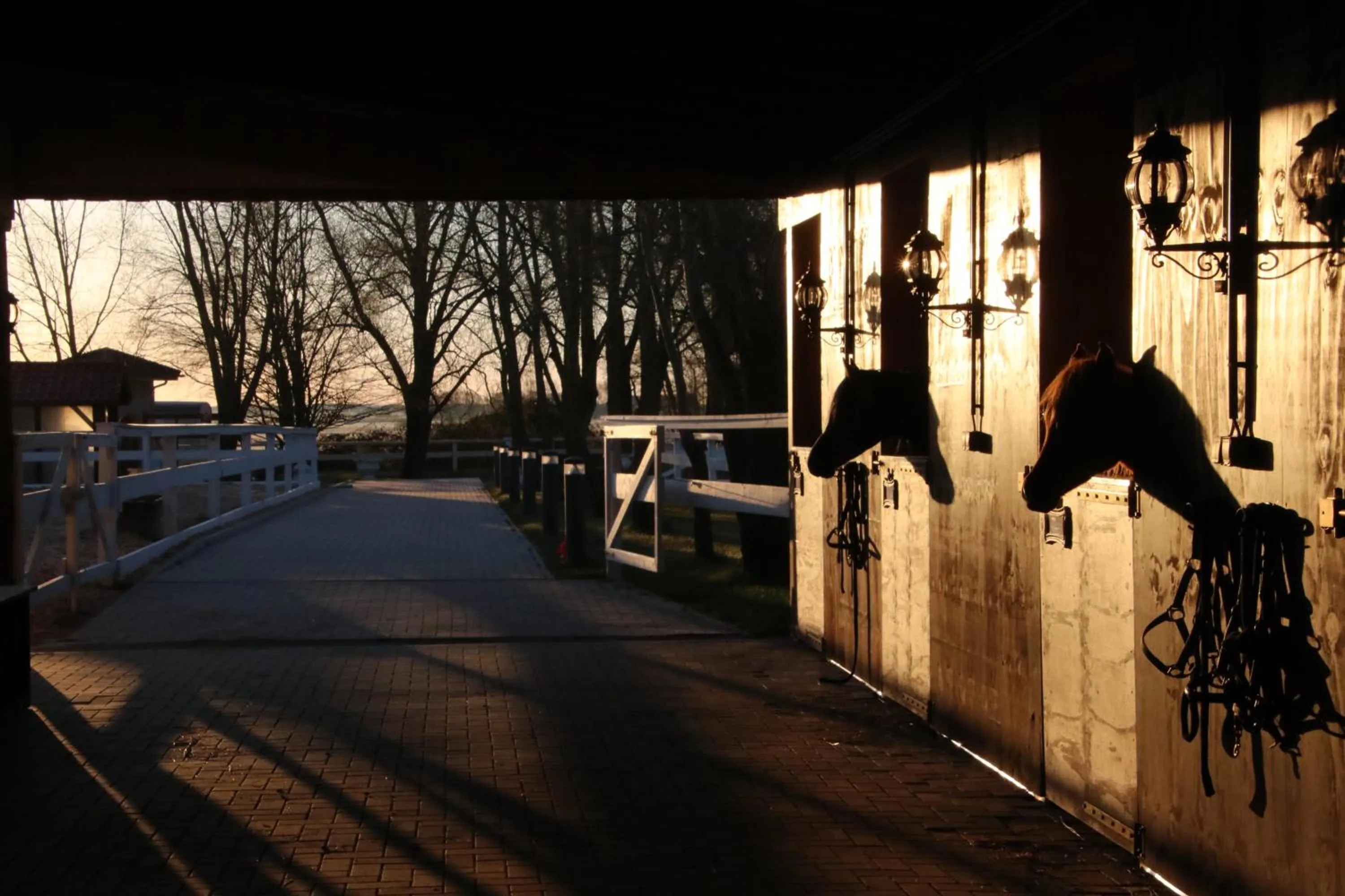 Pets in Luxus Resort Rügen Residenz Kubitzer Bodden