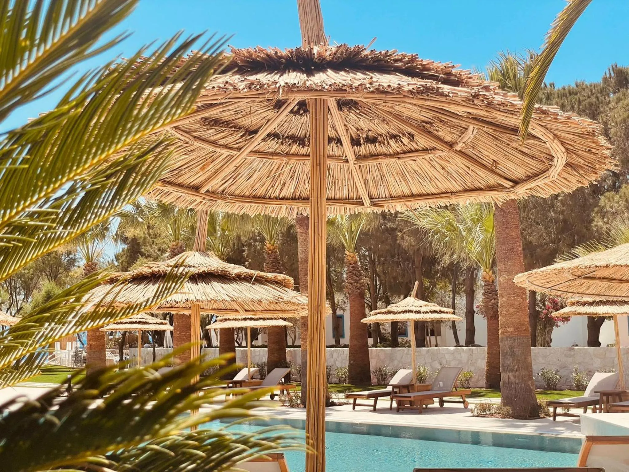 Swimming pool in Regia Mare Beach Hotel & Spa Bodrum