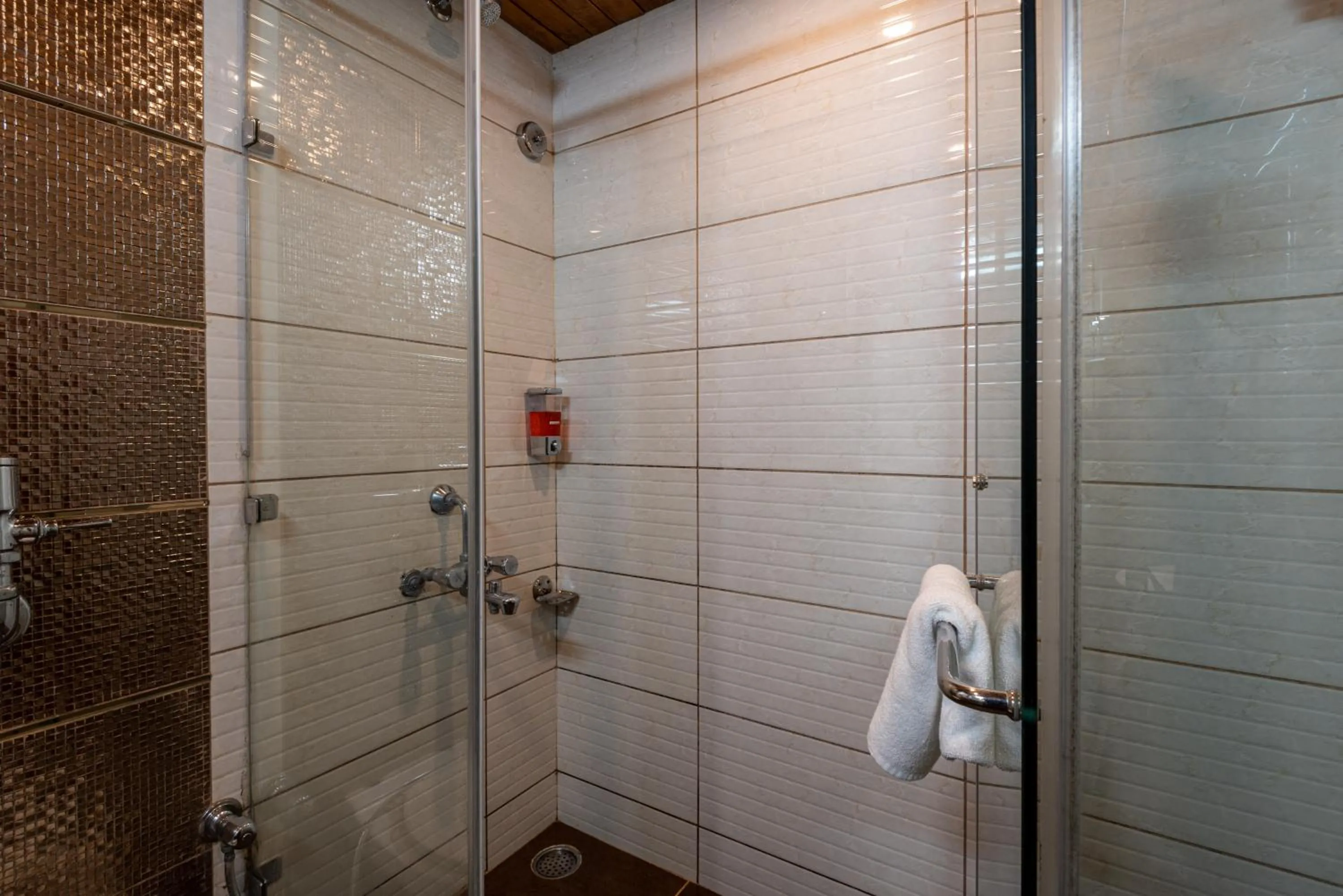 Shower in Spring Valley Resorts by DLS Hotels