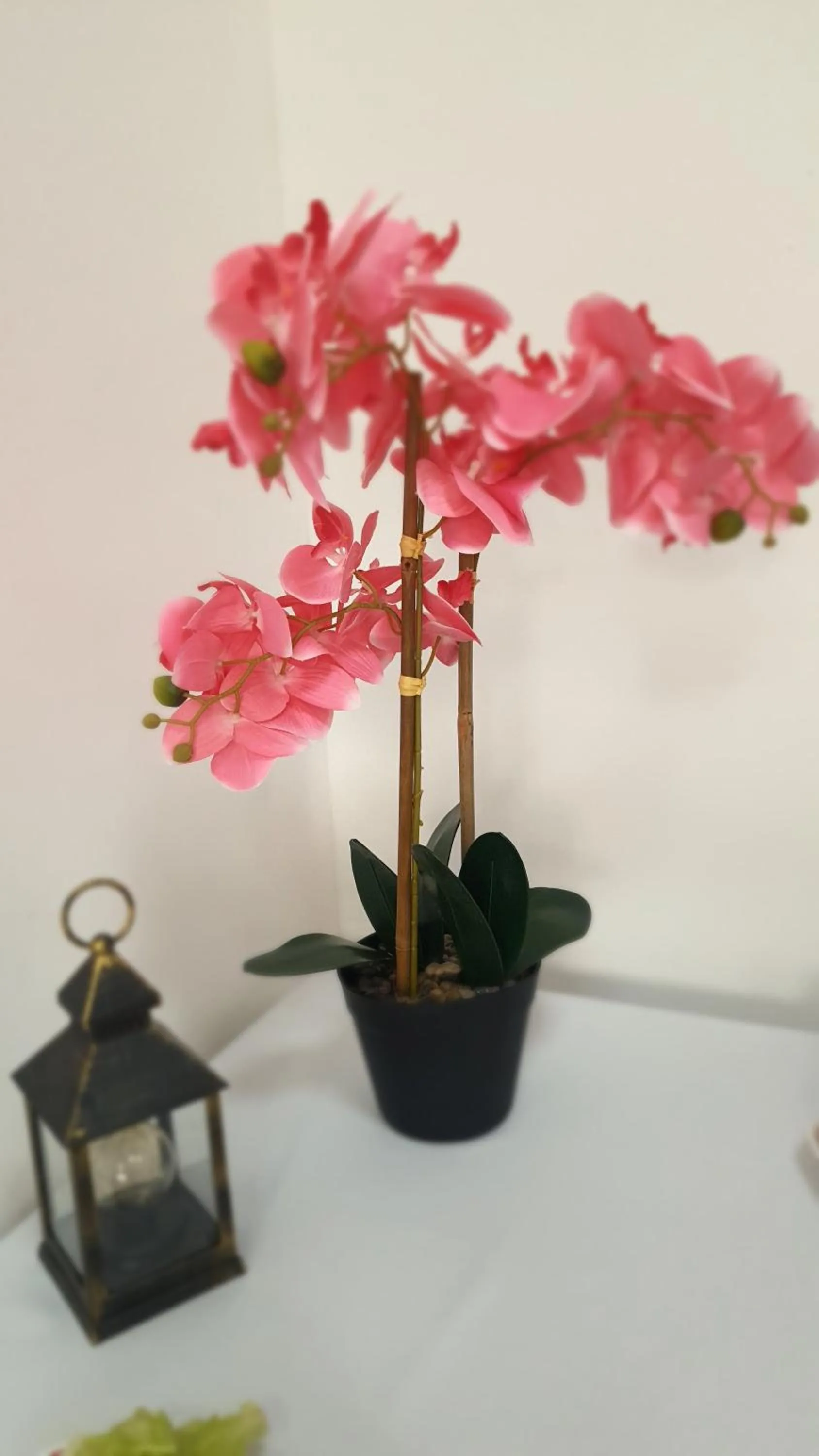 Decorative detail in Hotel Schneiderhof