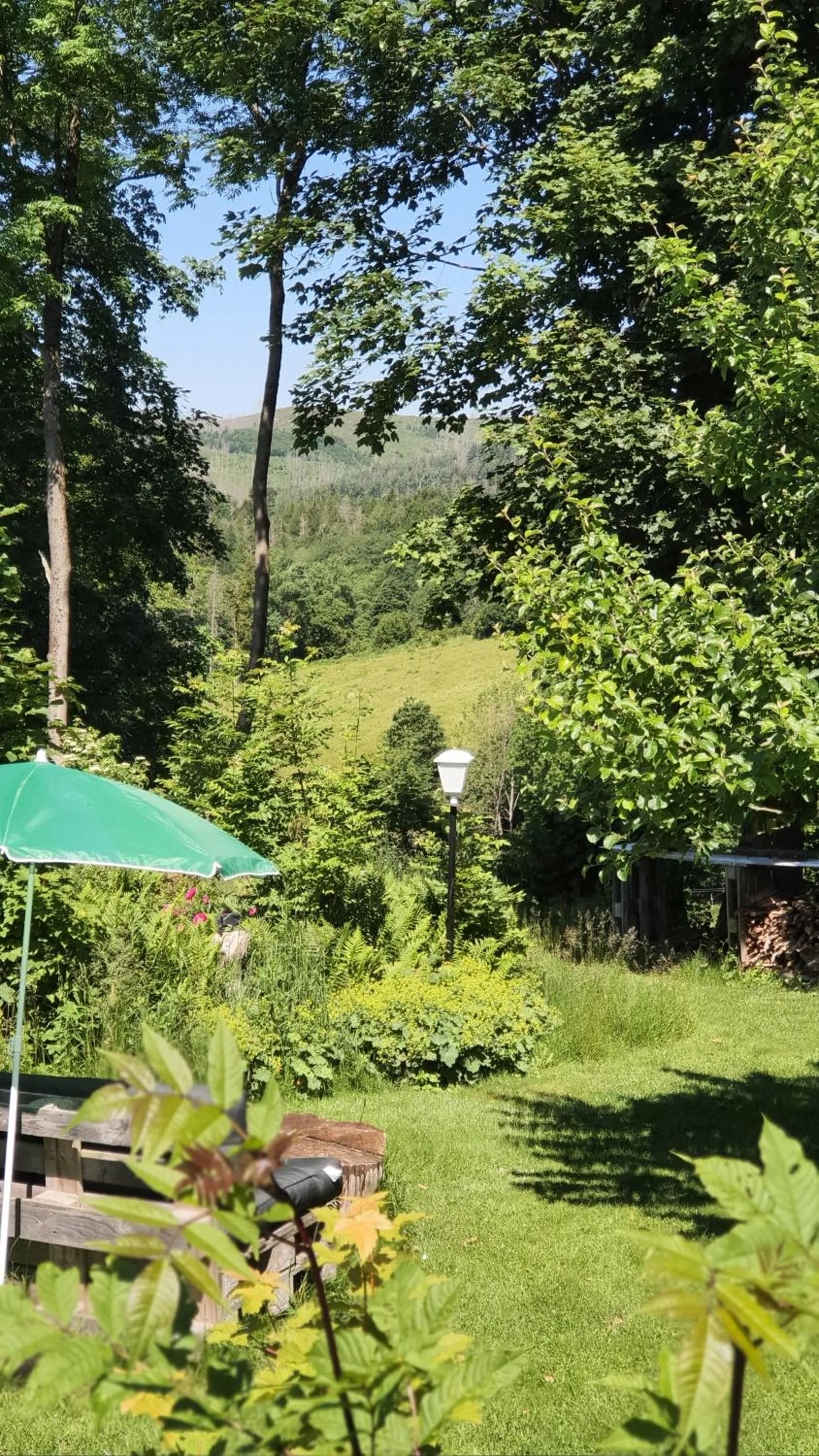 Natural landscape in Hotel Schneiderhof