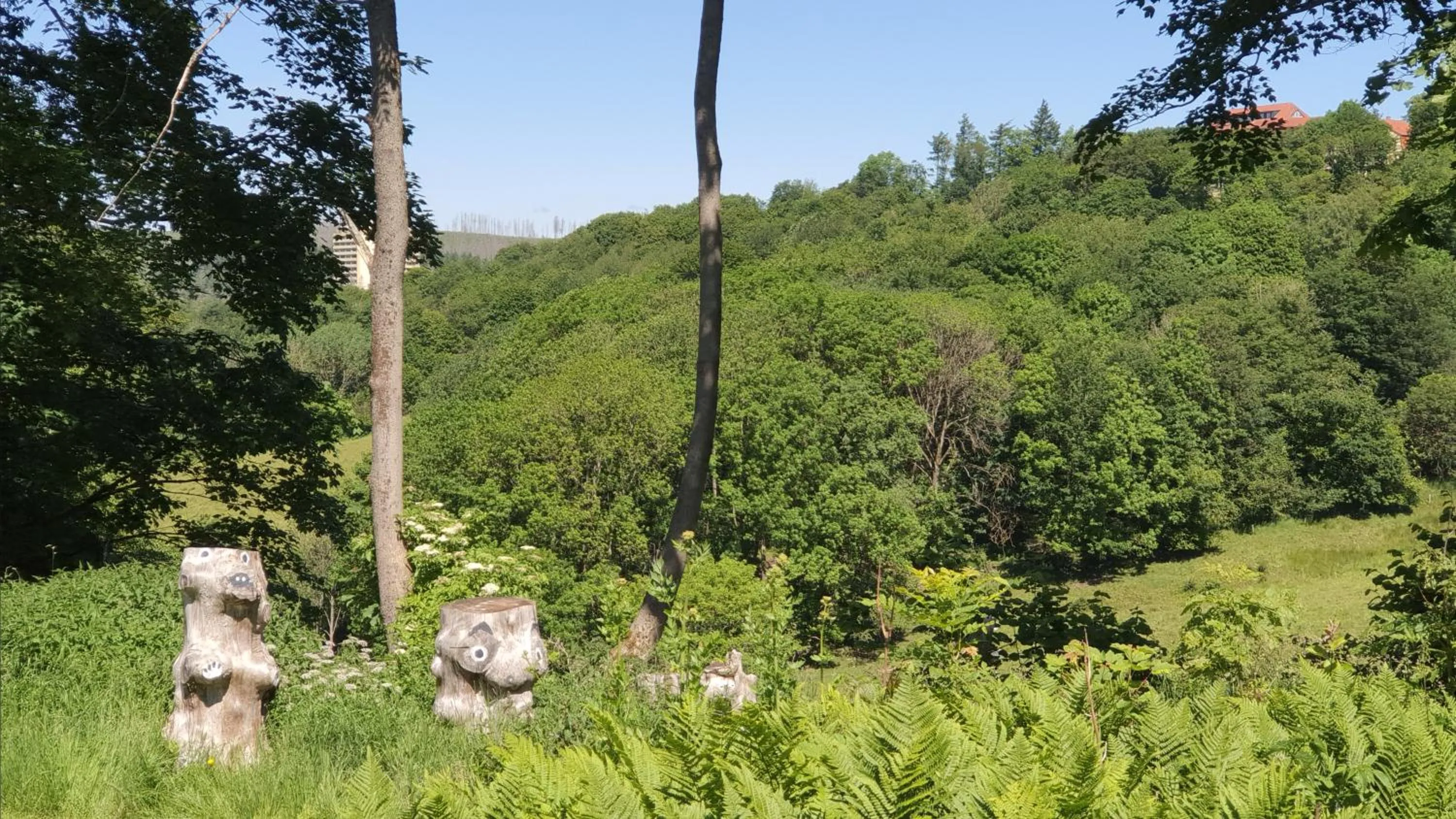 Natural landscape in Hotel Schneiderhof