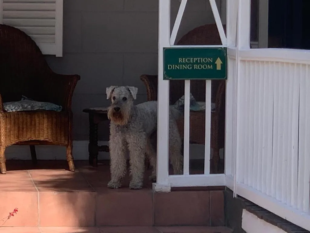 Property building in HouseMartin Lodge & Self Catering