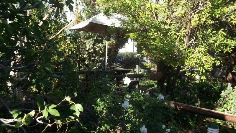 Garden in HouseMartin Lodge & Self Catering