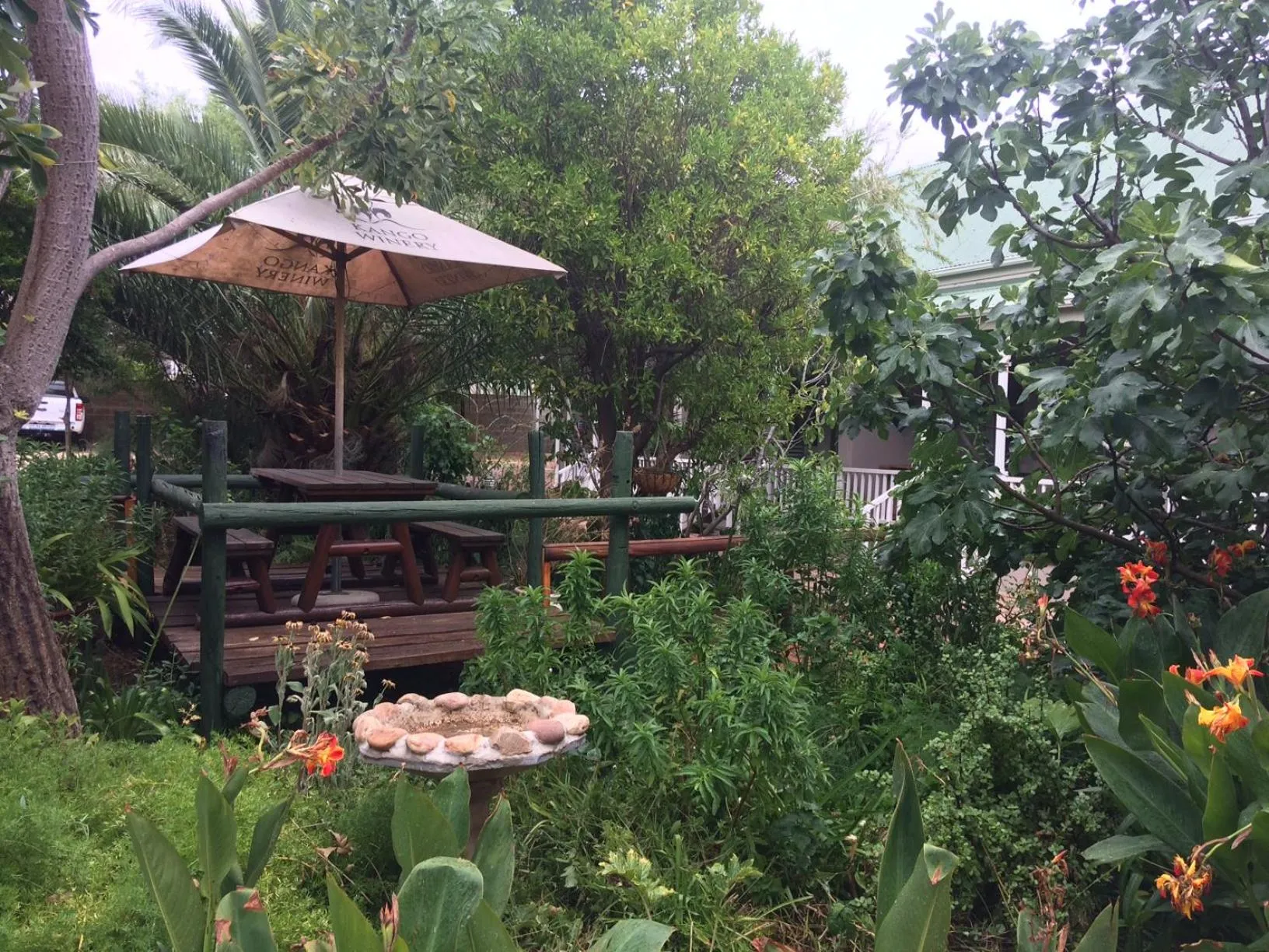 Garden view in HouseMartin Lodge & Self Catering