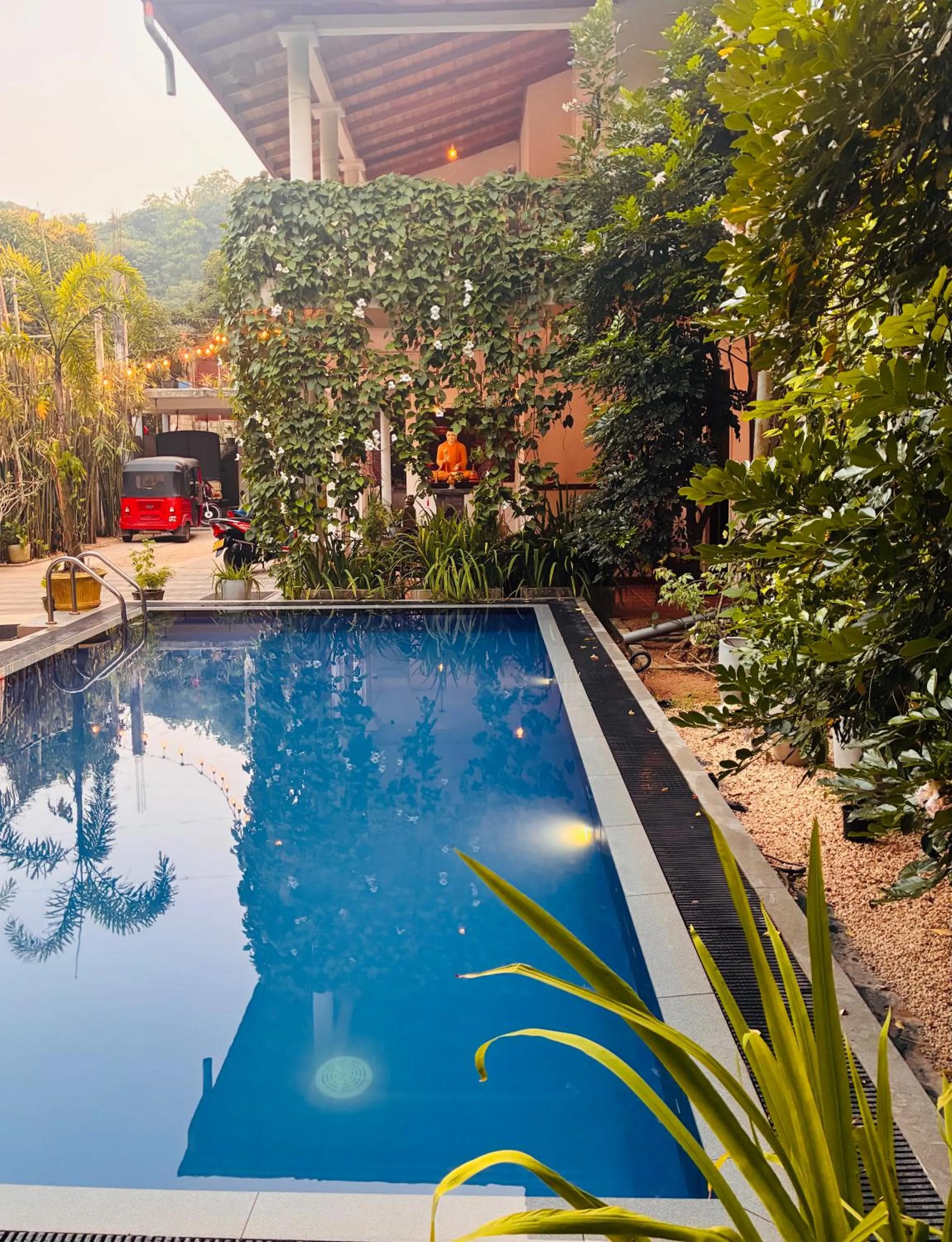 sunbed in Mirissa Blue Whale Holiday Hotel