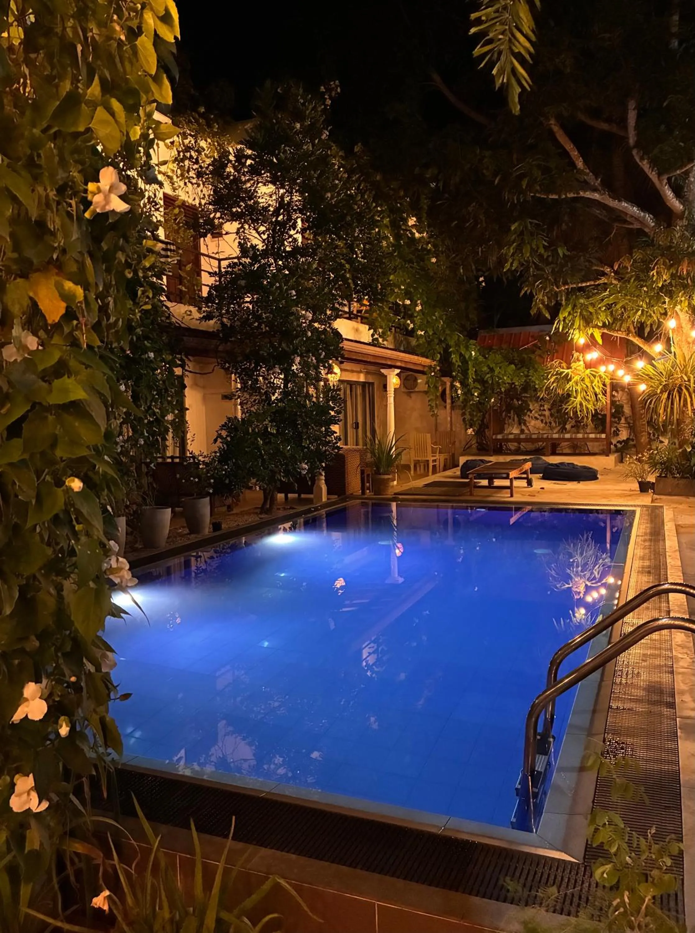 sunbed in Mirissa Blue Whale Holiday Hotel