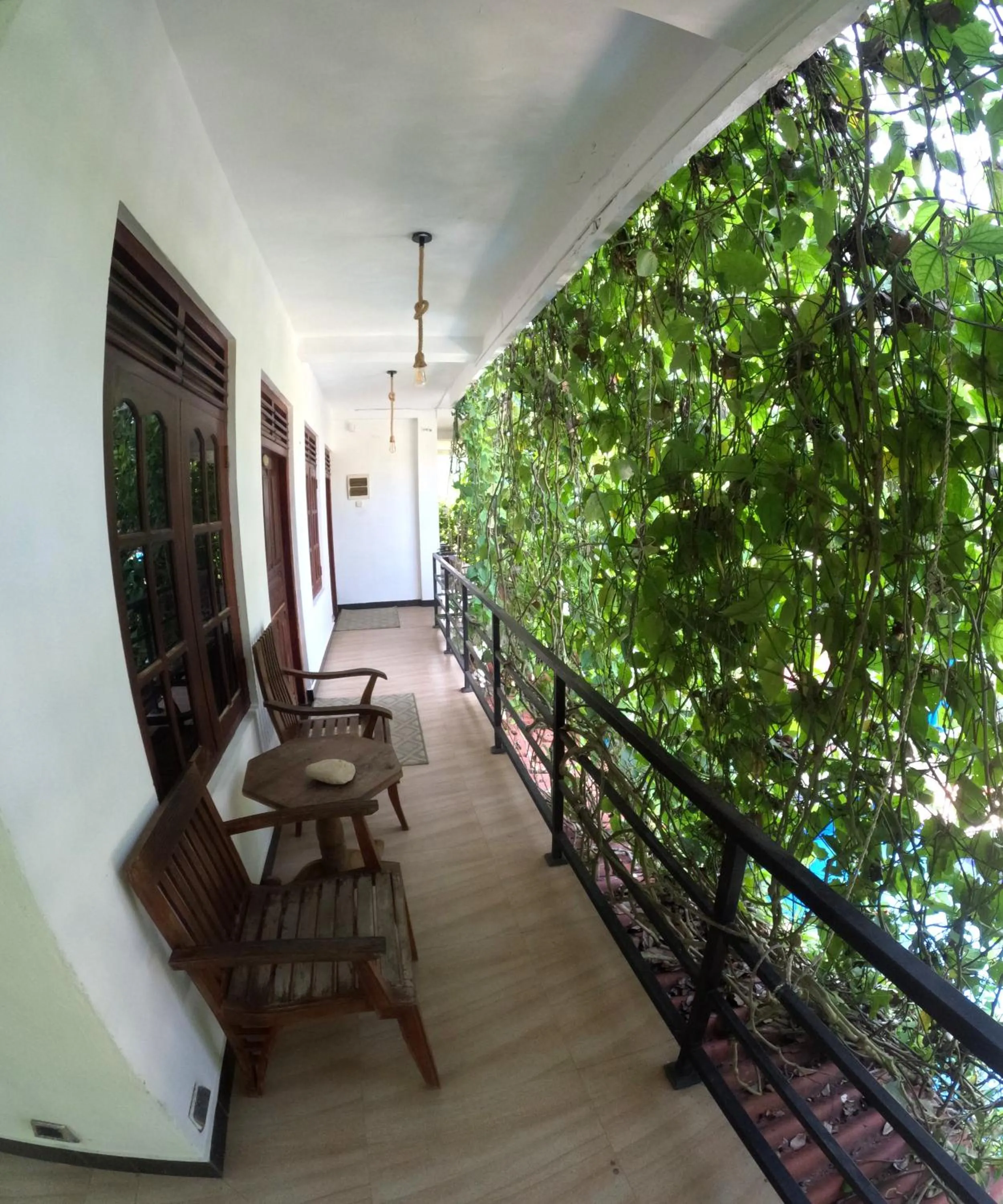 Property building in Mirissa Blue Whale Holiday Hotel