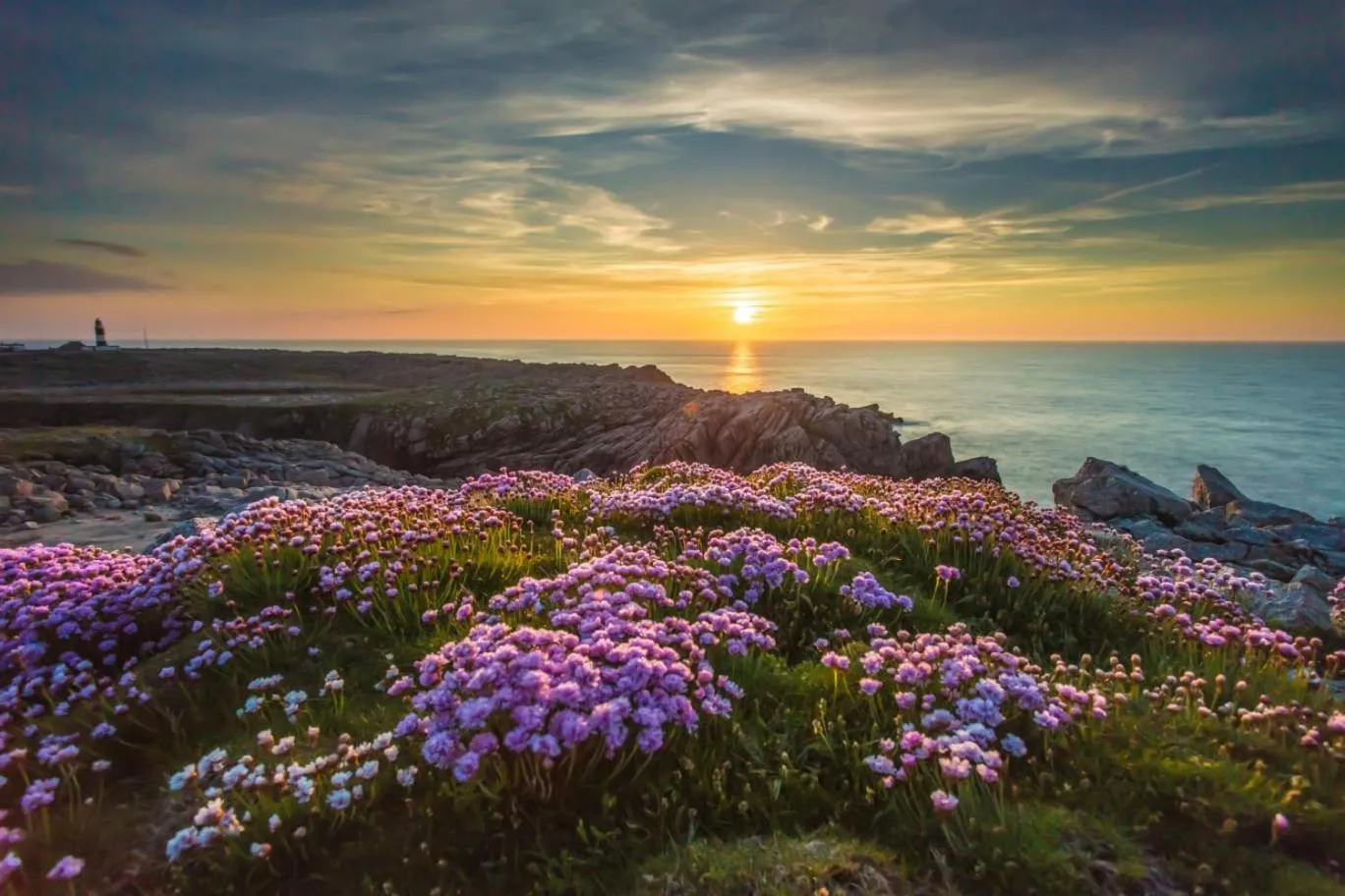Ostán Oileán Thoraí Tory Island Hotel