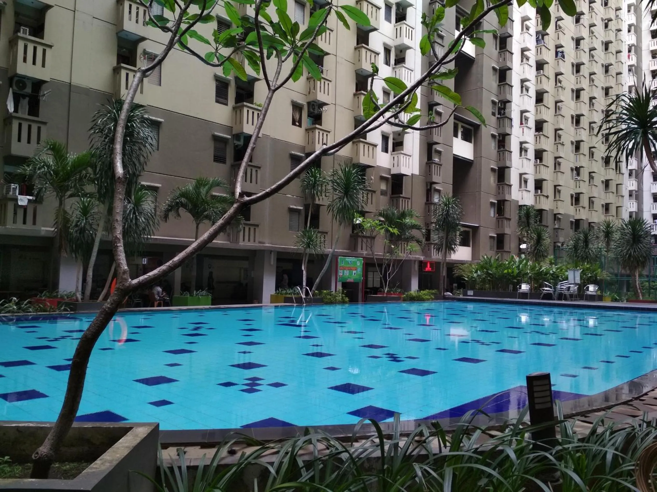 Swimming pool in Private & Stylish 2BR at Gateway Apartment Ahmad Yani Cicadas By Travelio