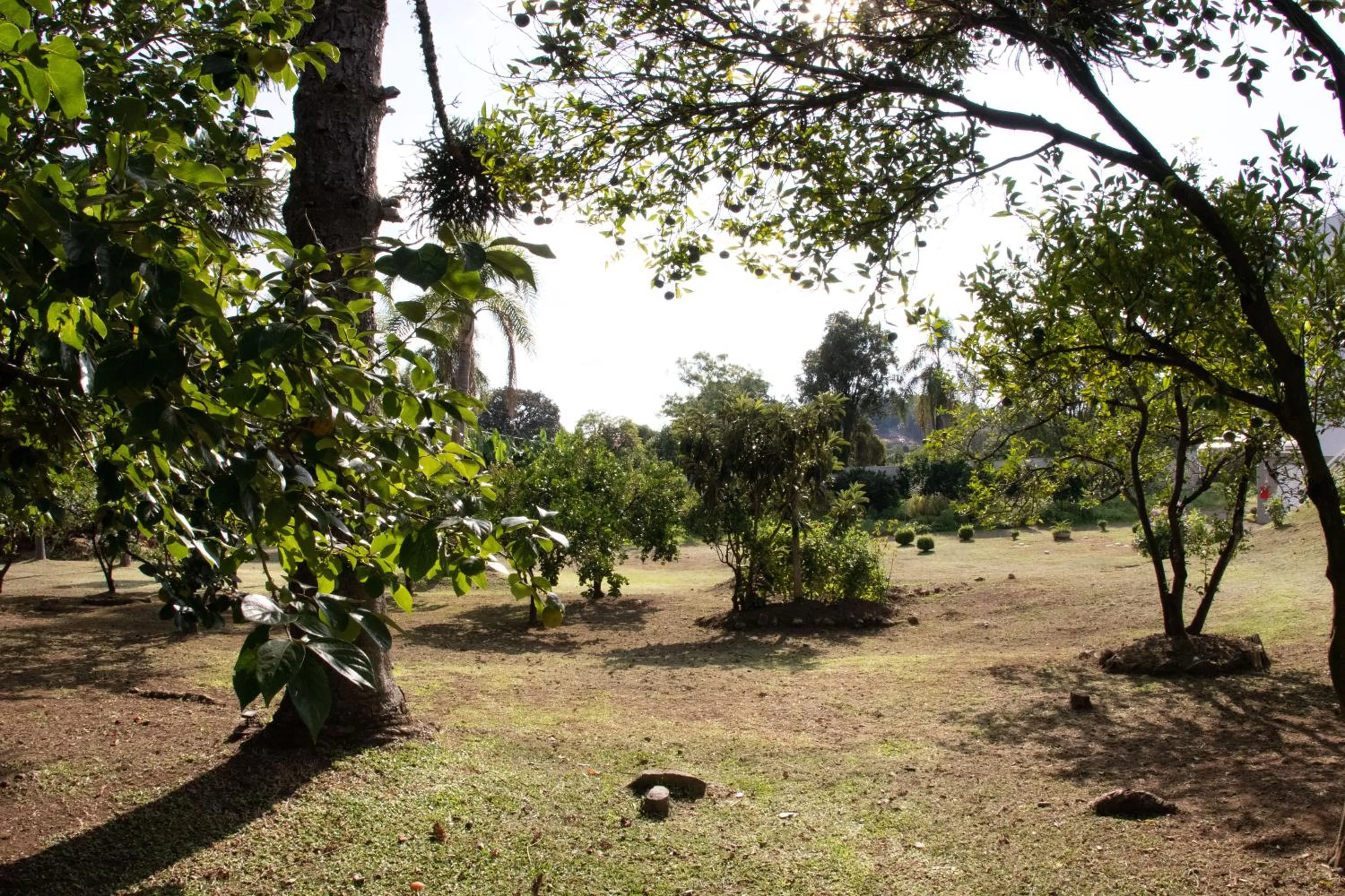 Natural landscape in Pousada Bom Pastor