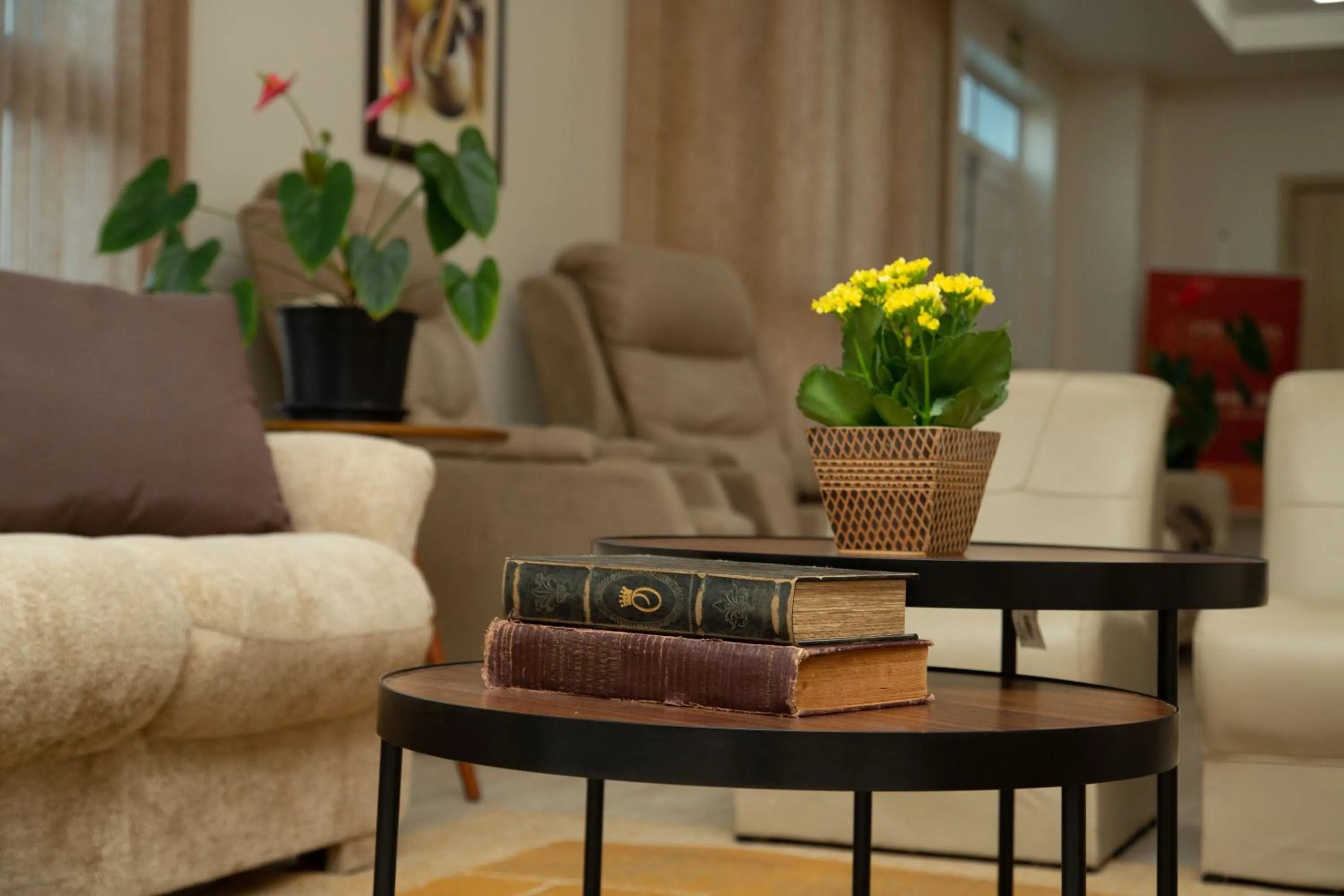 Decorative detail in Pousada Bom Pastor