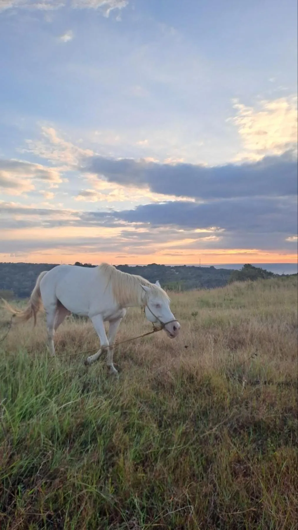 Day in Rancho Bernardo Luxury Villas and Resort