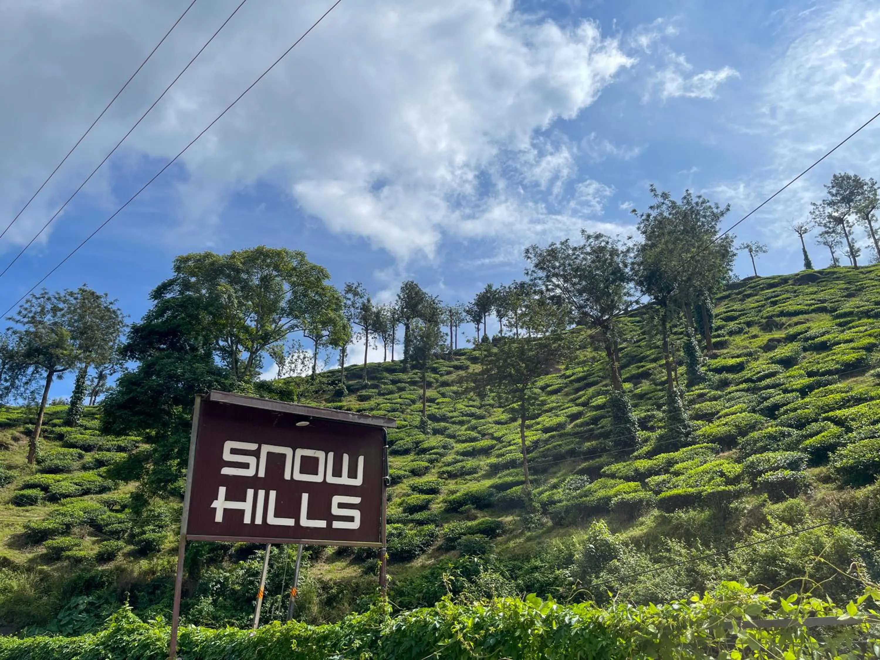 Natural landscape in Snow Hills Nature Resort, Thekkady