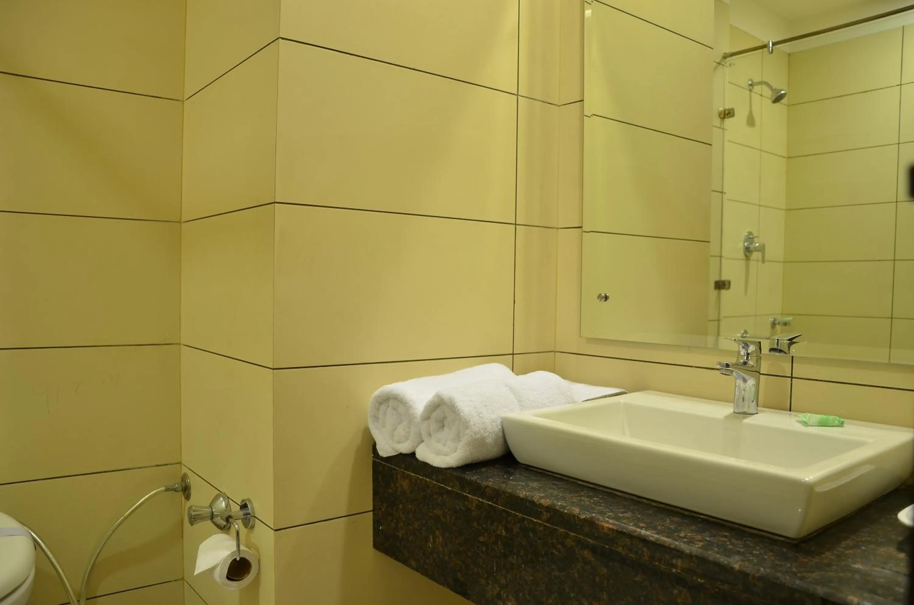 Bathroom in Best Western Swing High Katra