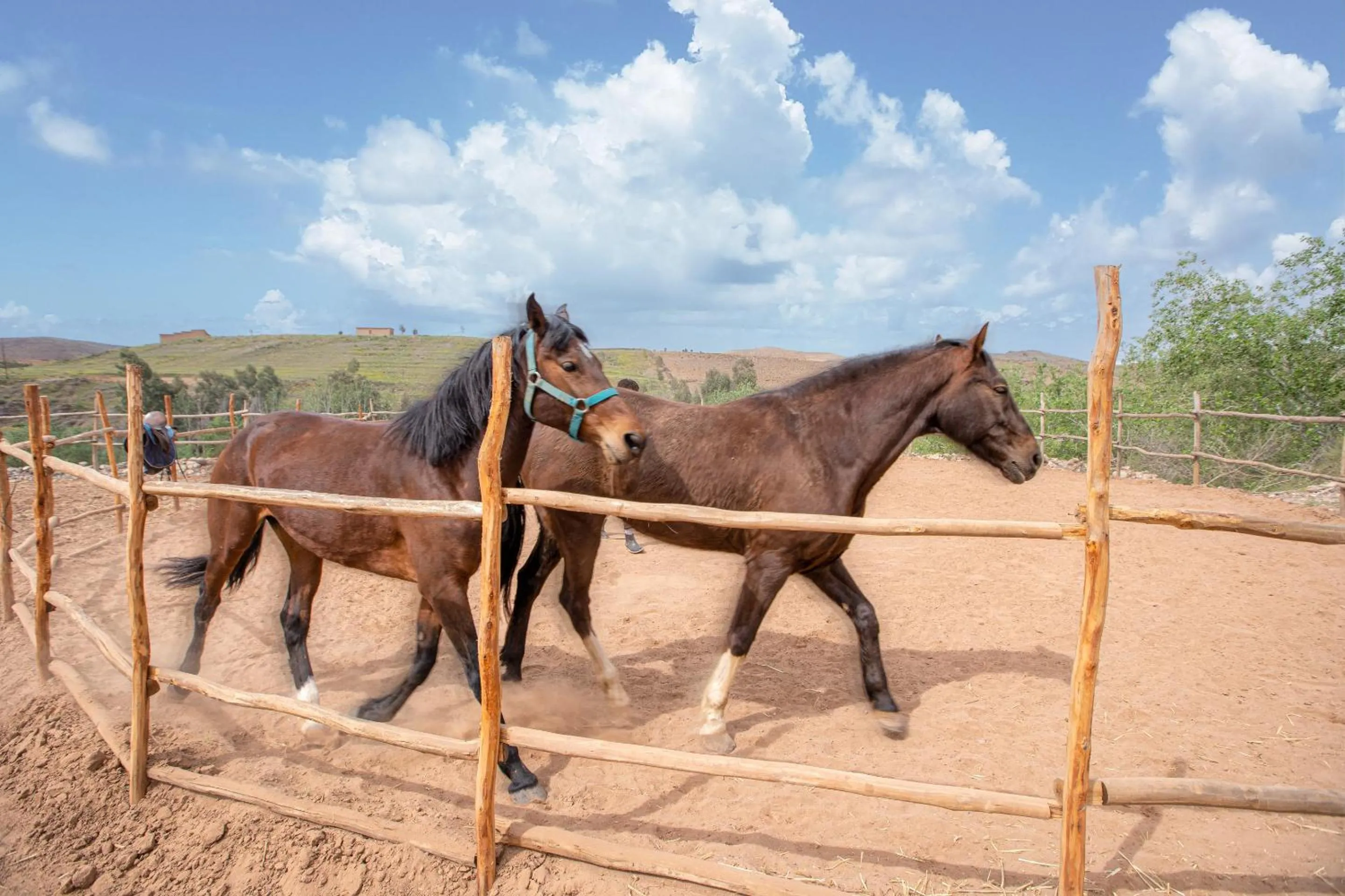 Activities in La Fattoria Ecolodge