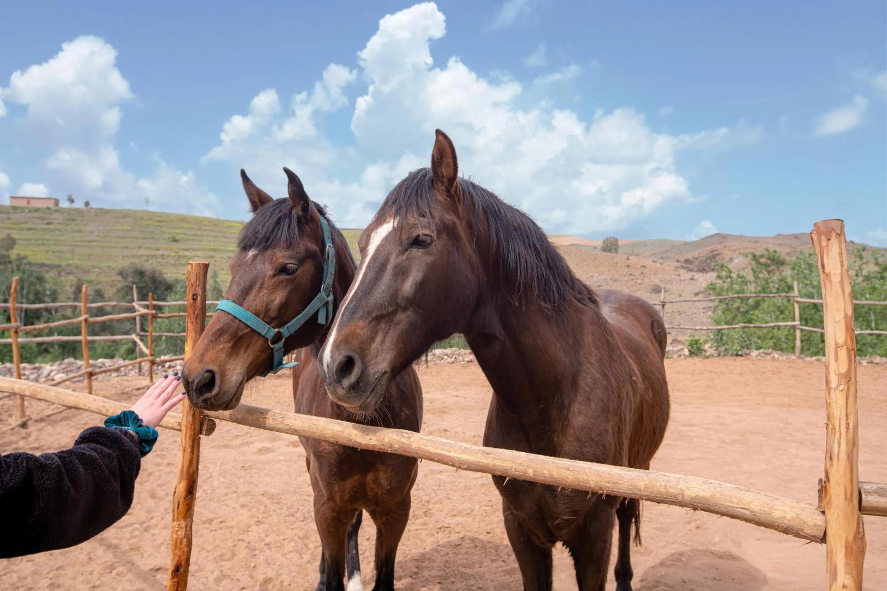 Activities in La Fattoria Ecolodge