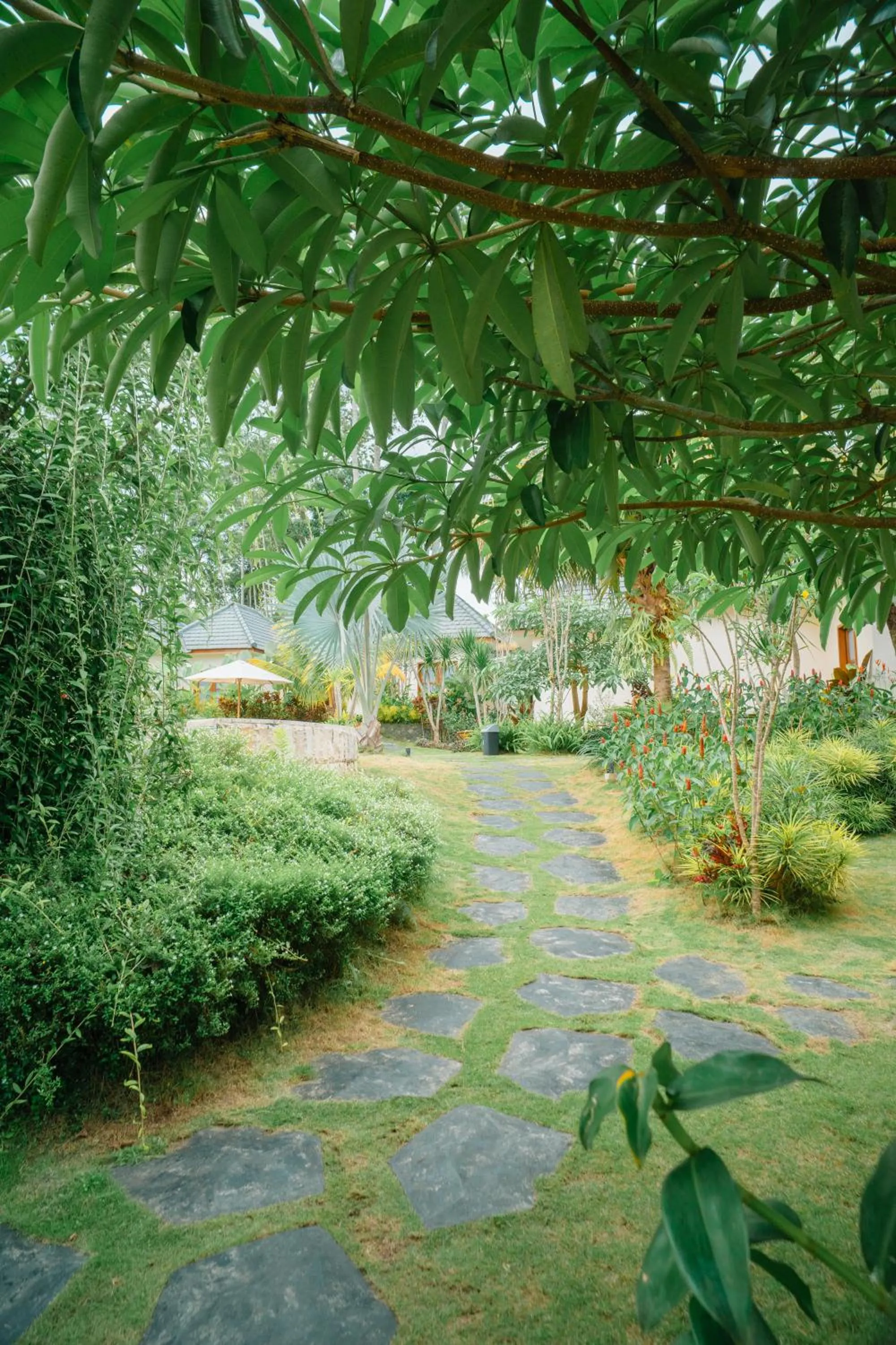 Garden in Artha Cottages