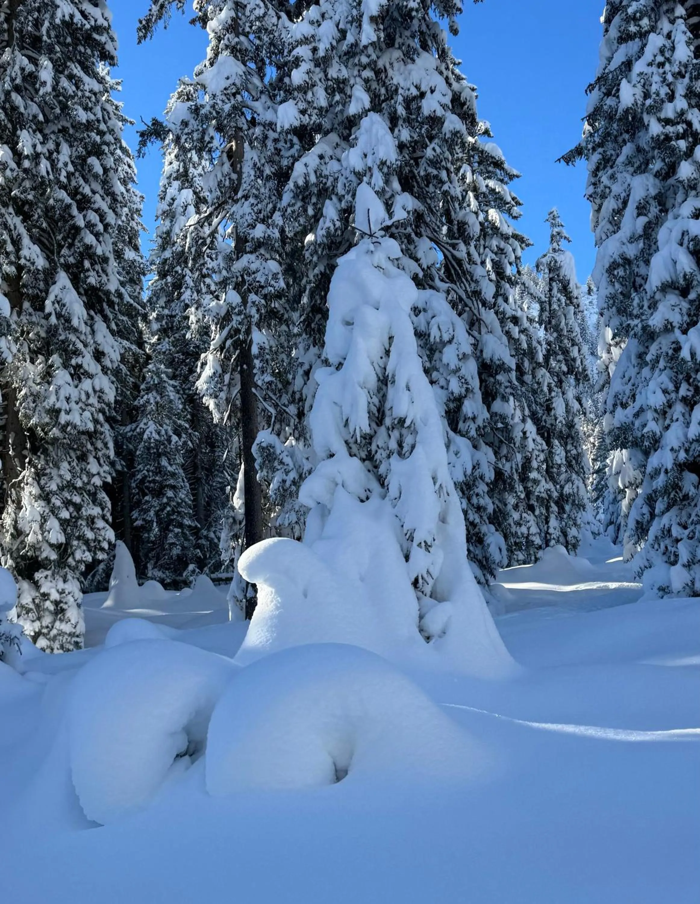 Waldheim Laax Pension