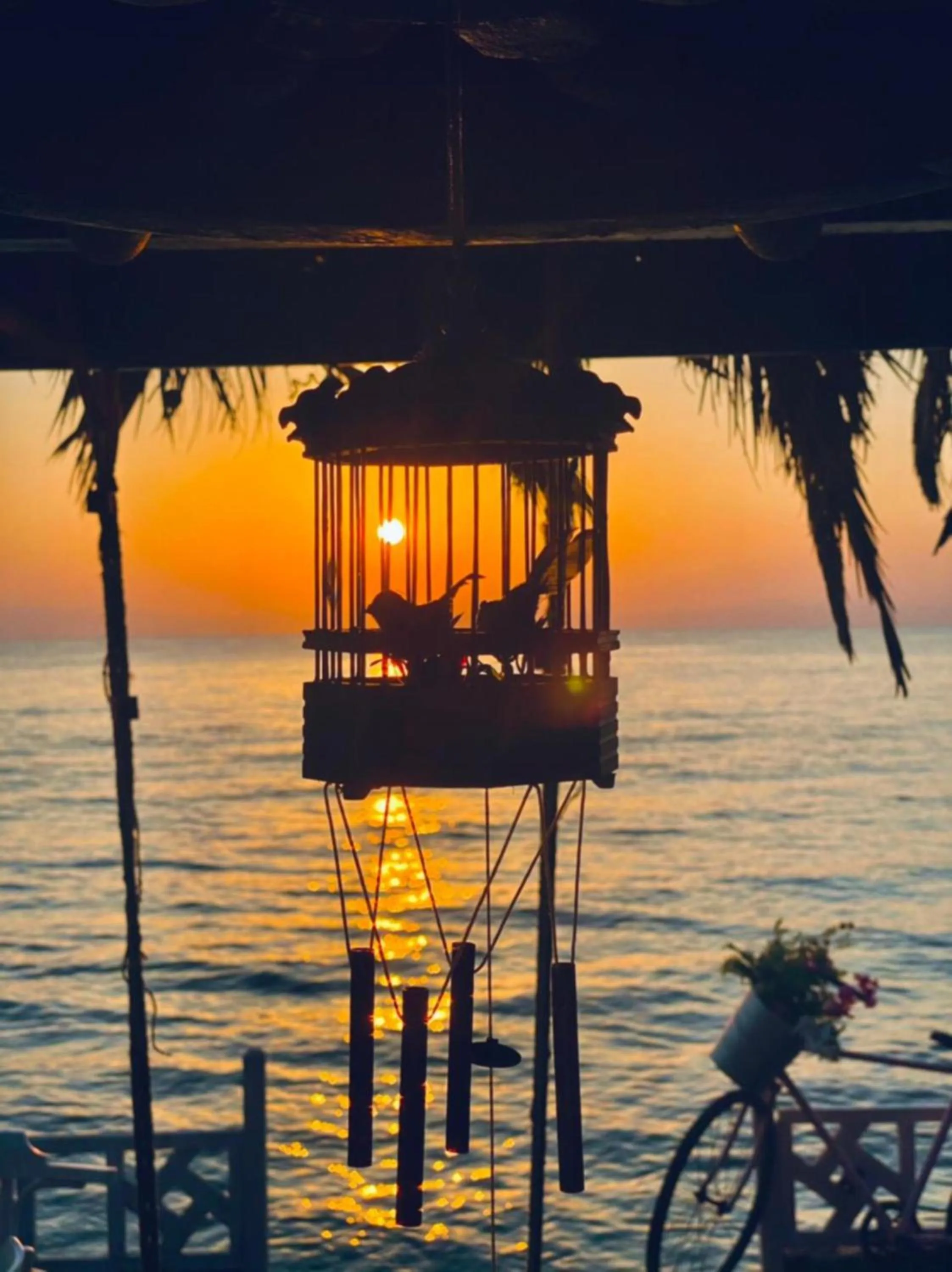 Restaurant/places to eat in Happy Land Hotel Dahab