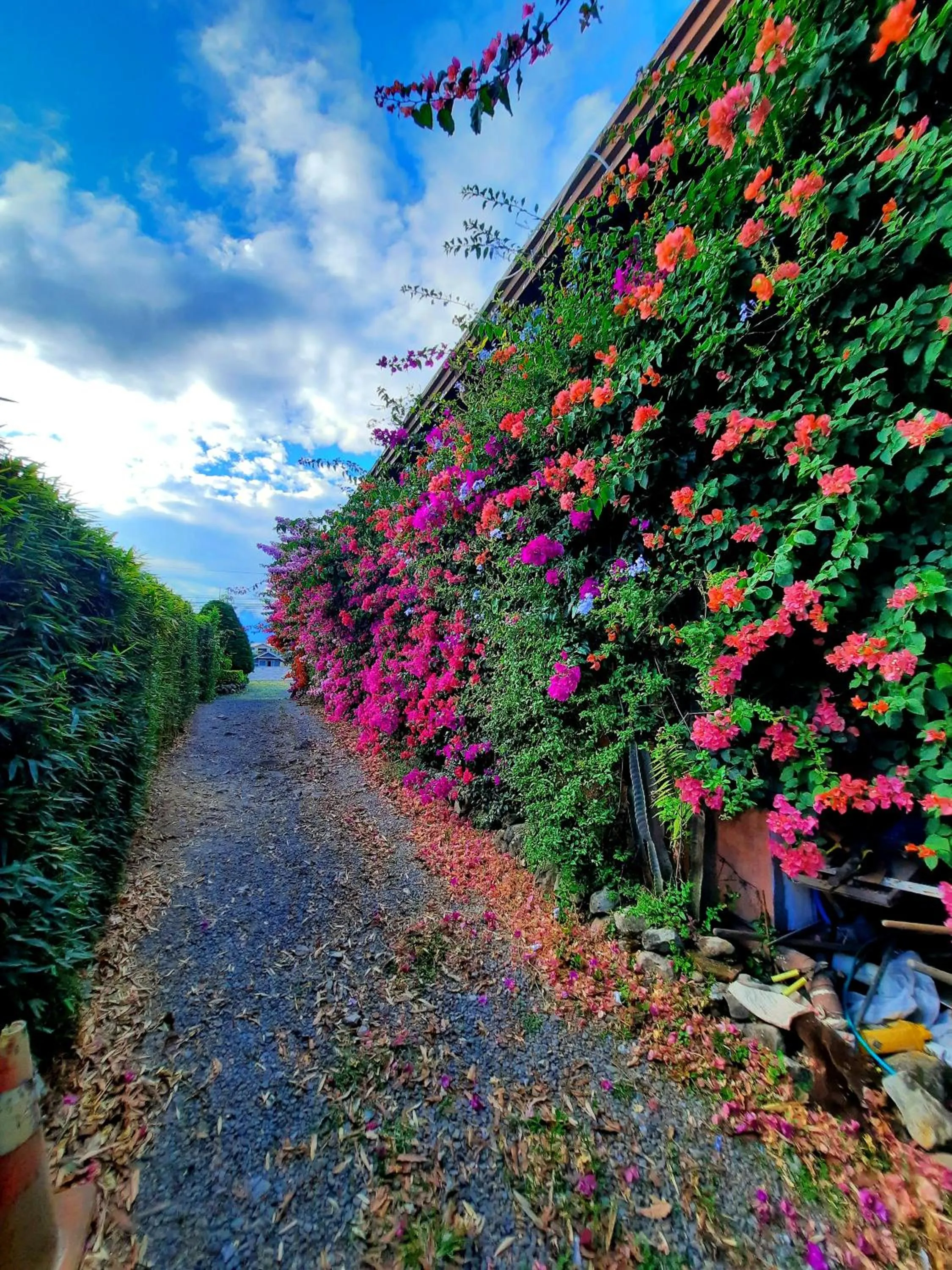 Day in Cabañas San Miguel