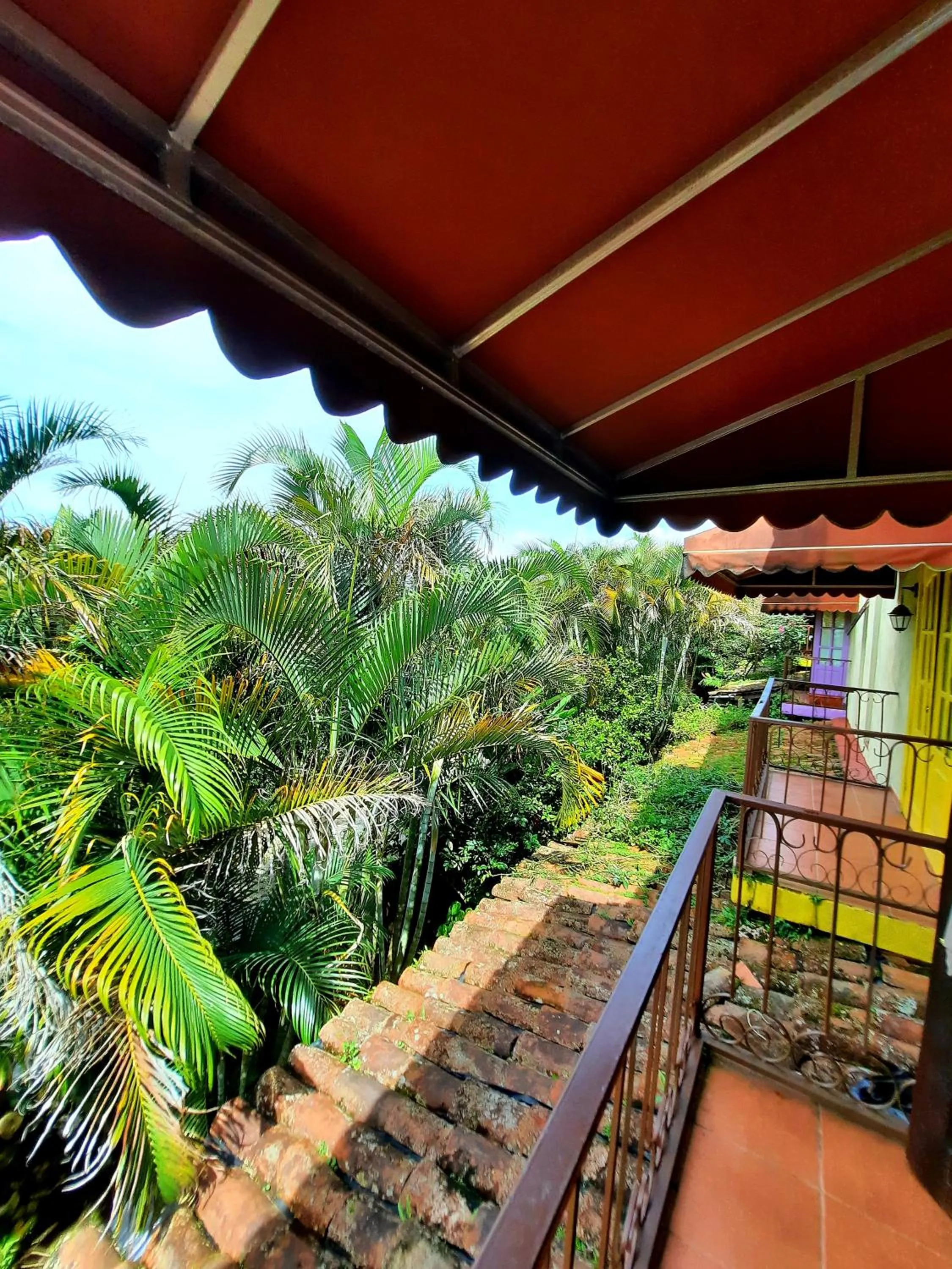 Garden in Cabañas San Miguel