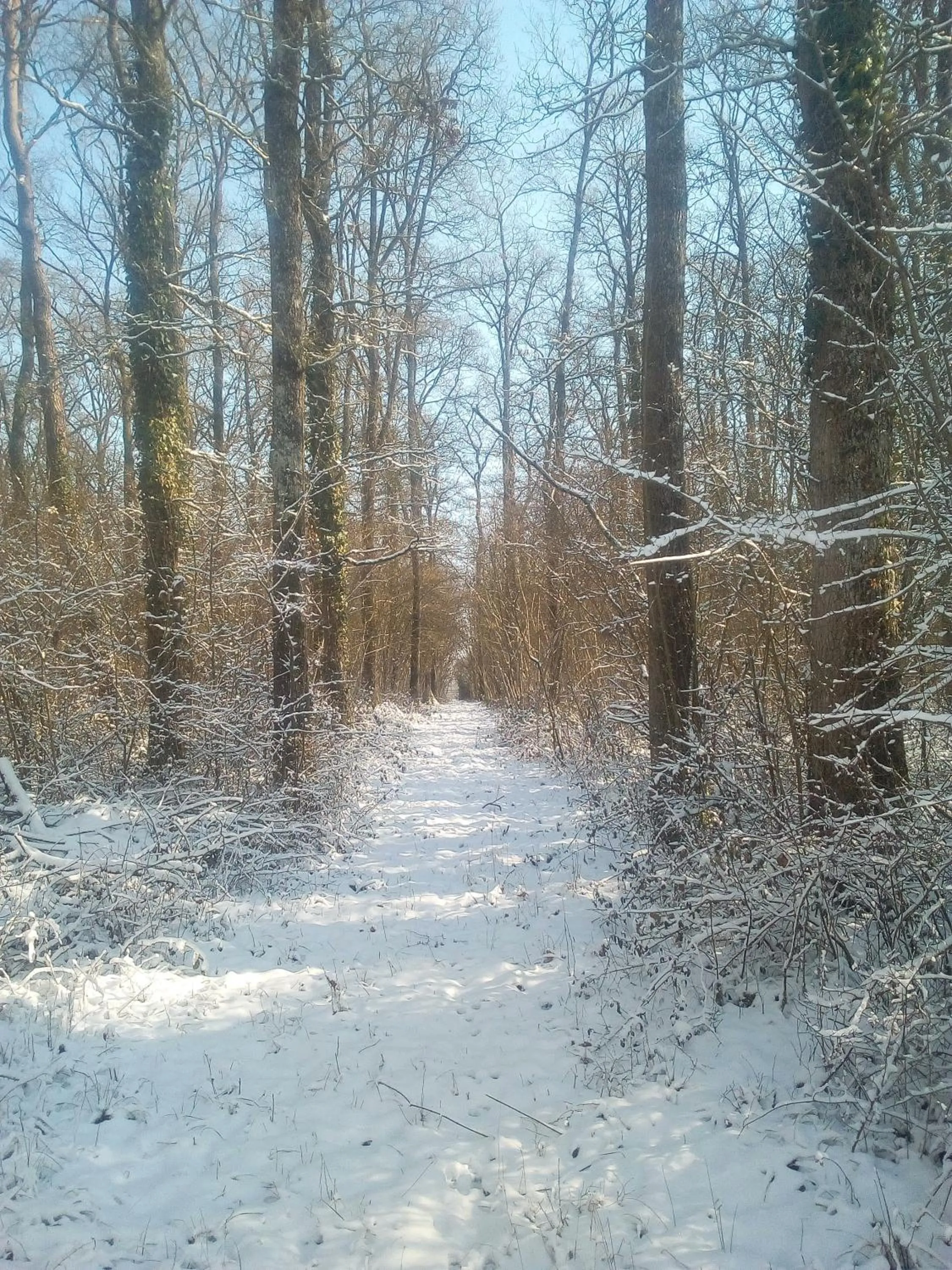 Domaine du clos henri