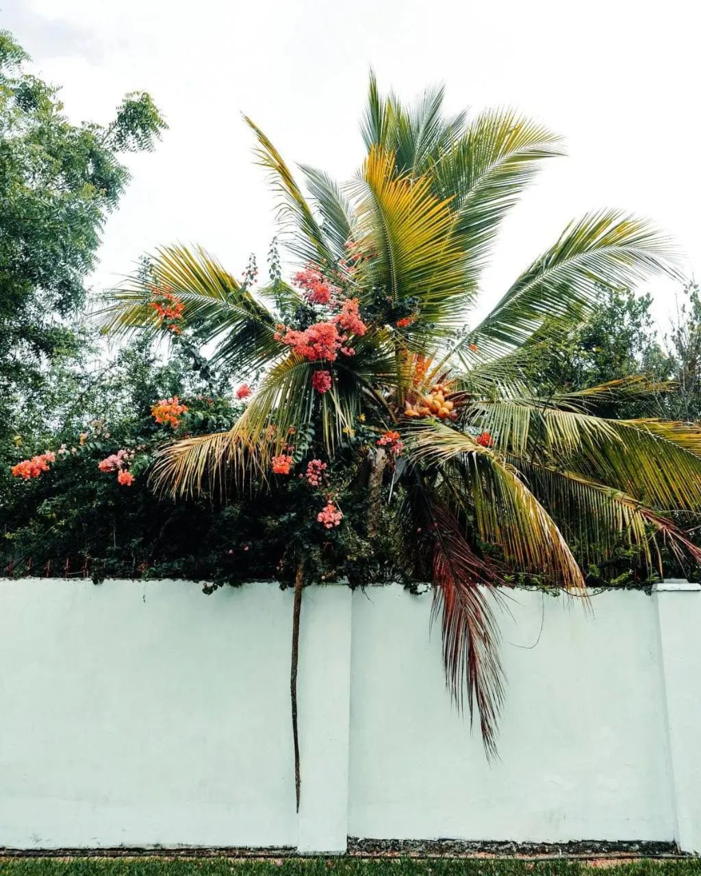 Calamari Beach Resort