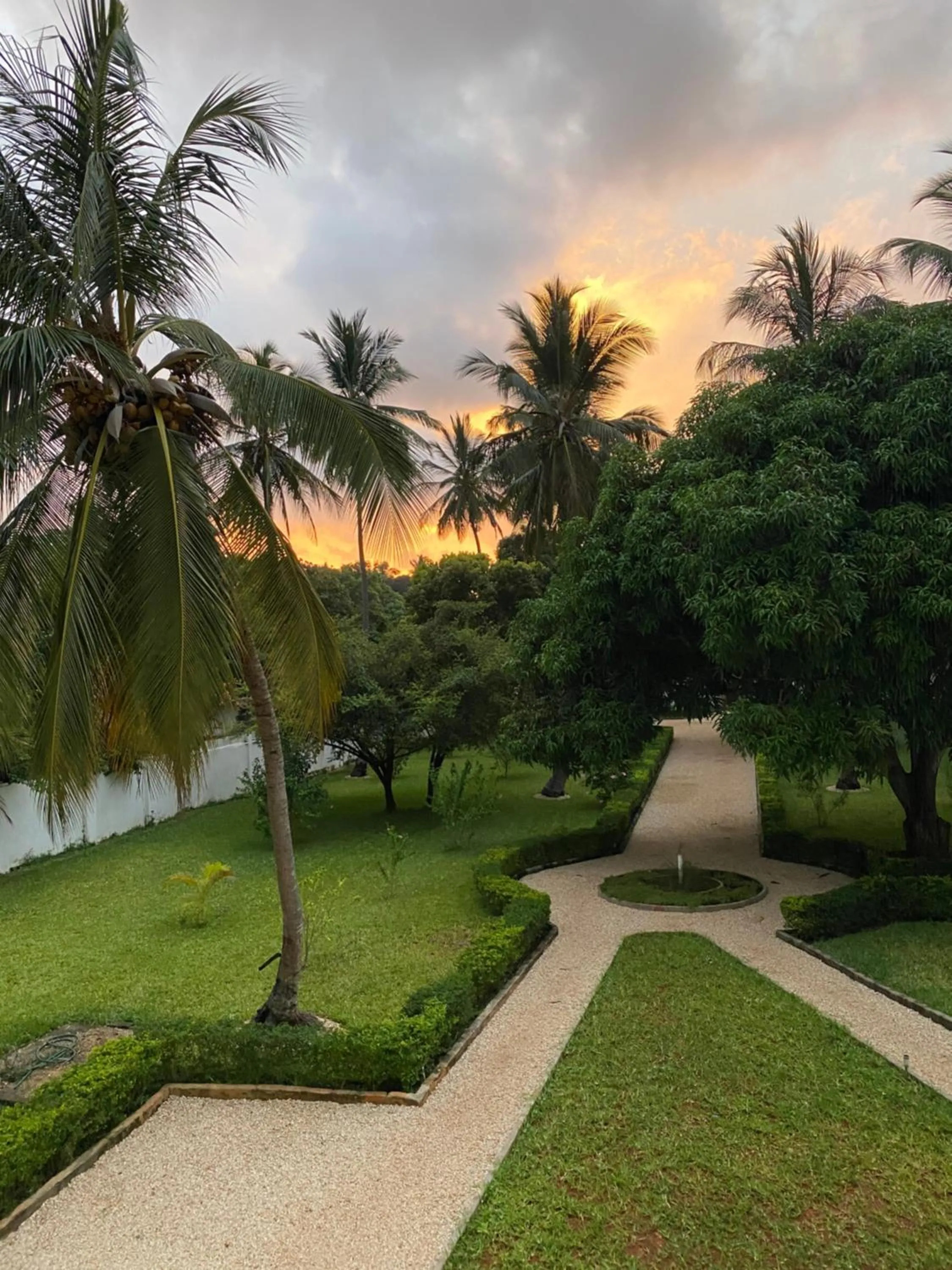 Garden in Calamari Beach Resort