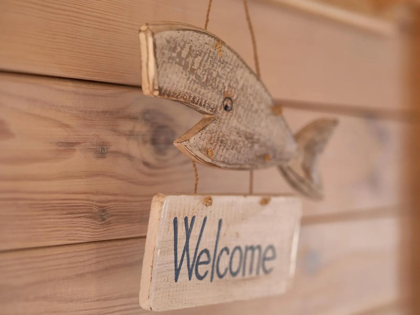 Certificate/Award in CAMP NORD RESORT