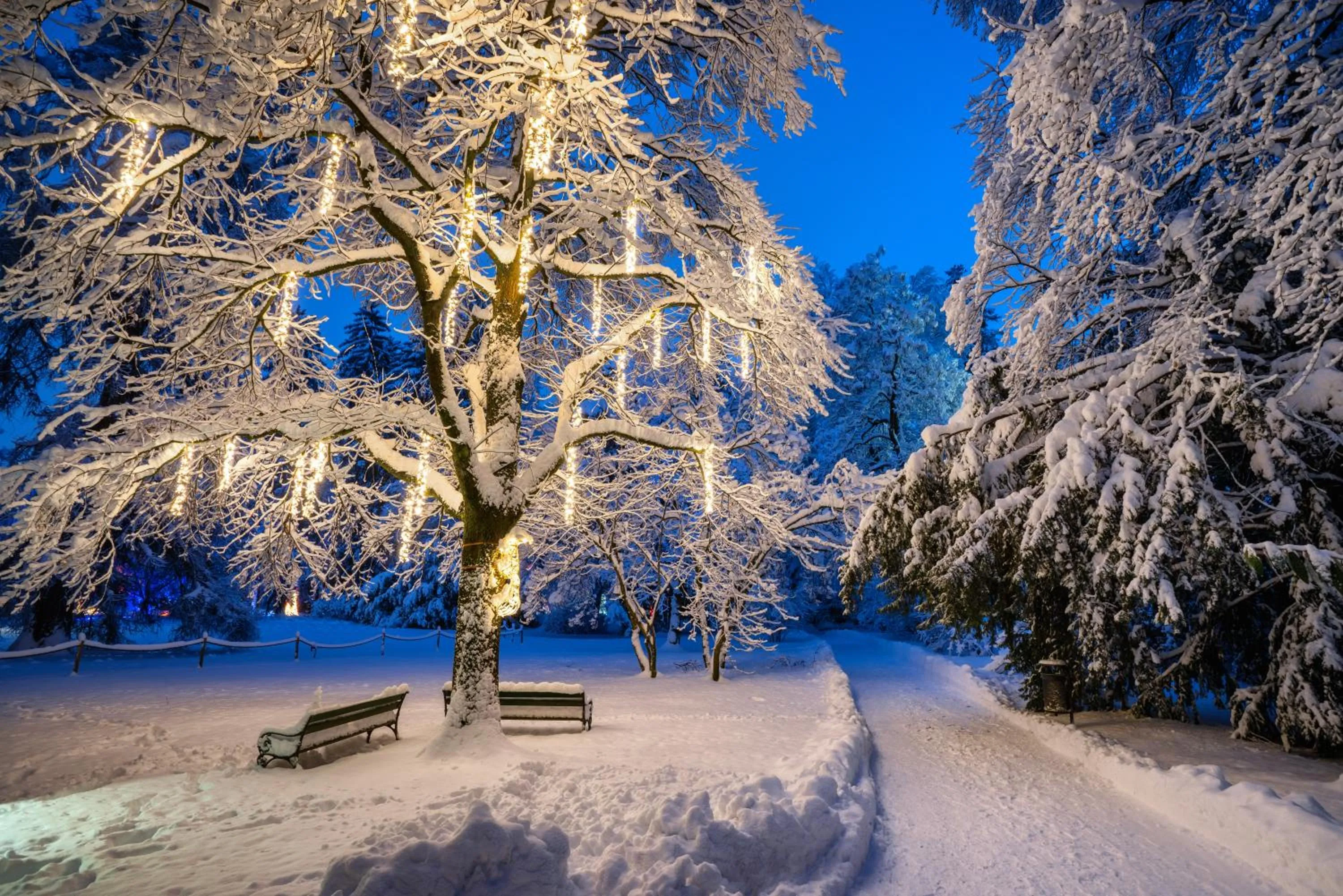 Other in Hotel Goldener Adler, BW Signature Collection