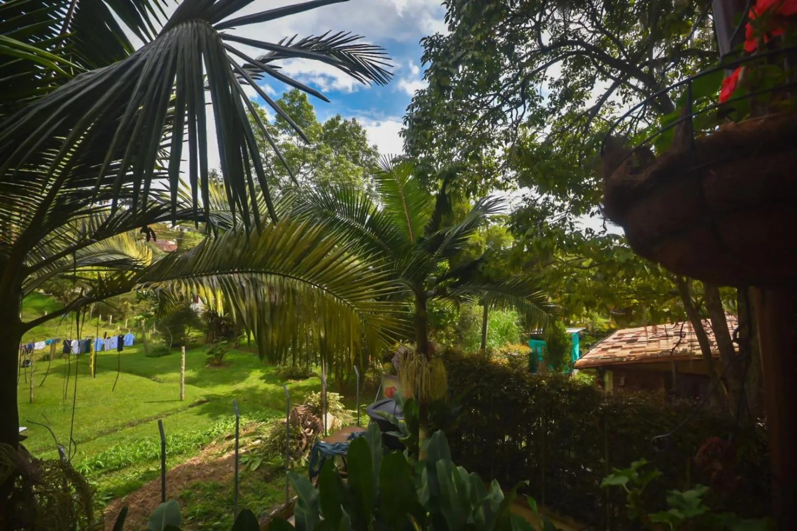 Spring in Finca Hotel Zona Franca