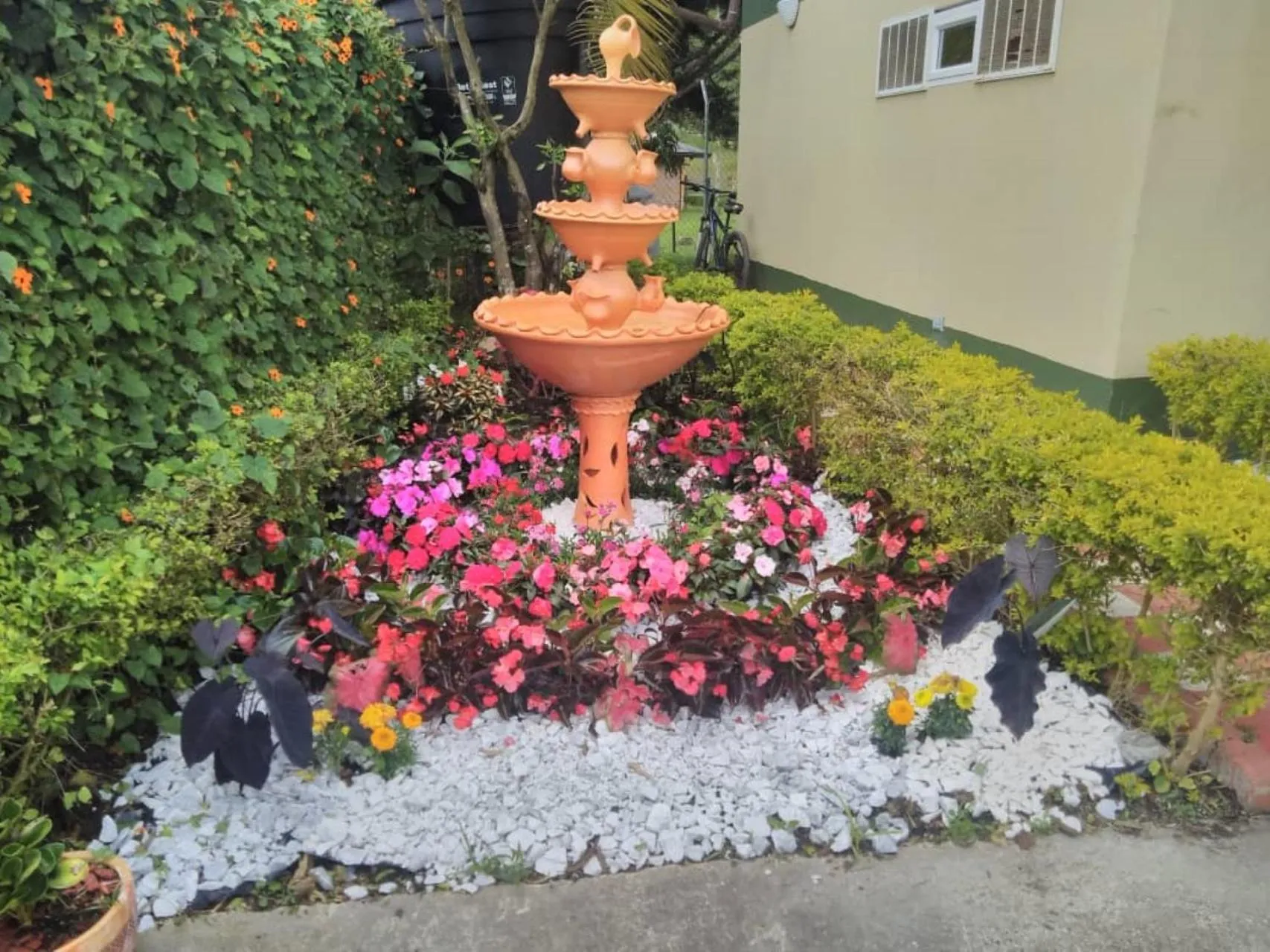 Garden in Finca Hotel Zona Franca