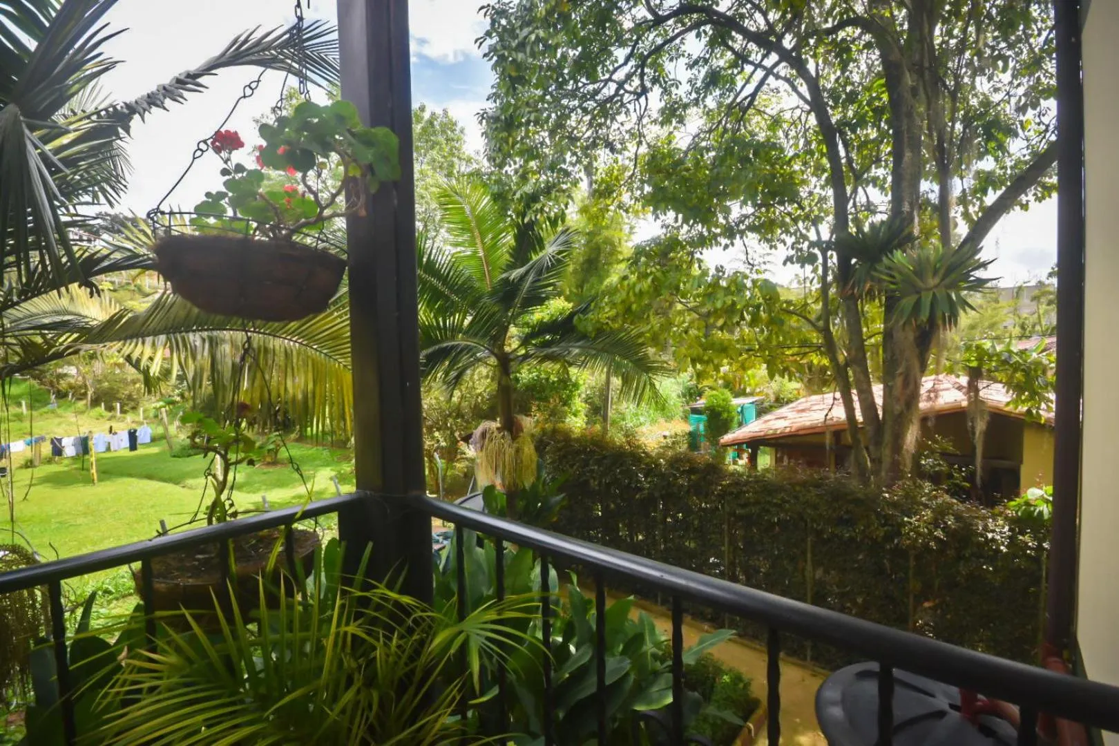 Spring in Finca Hotel Zona Franca