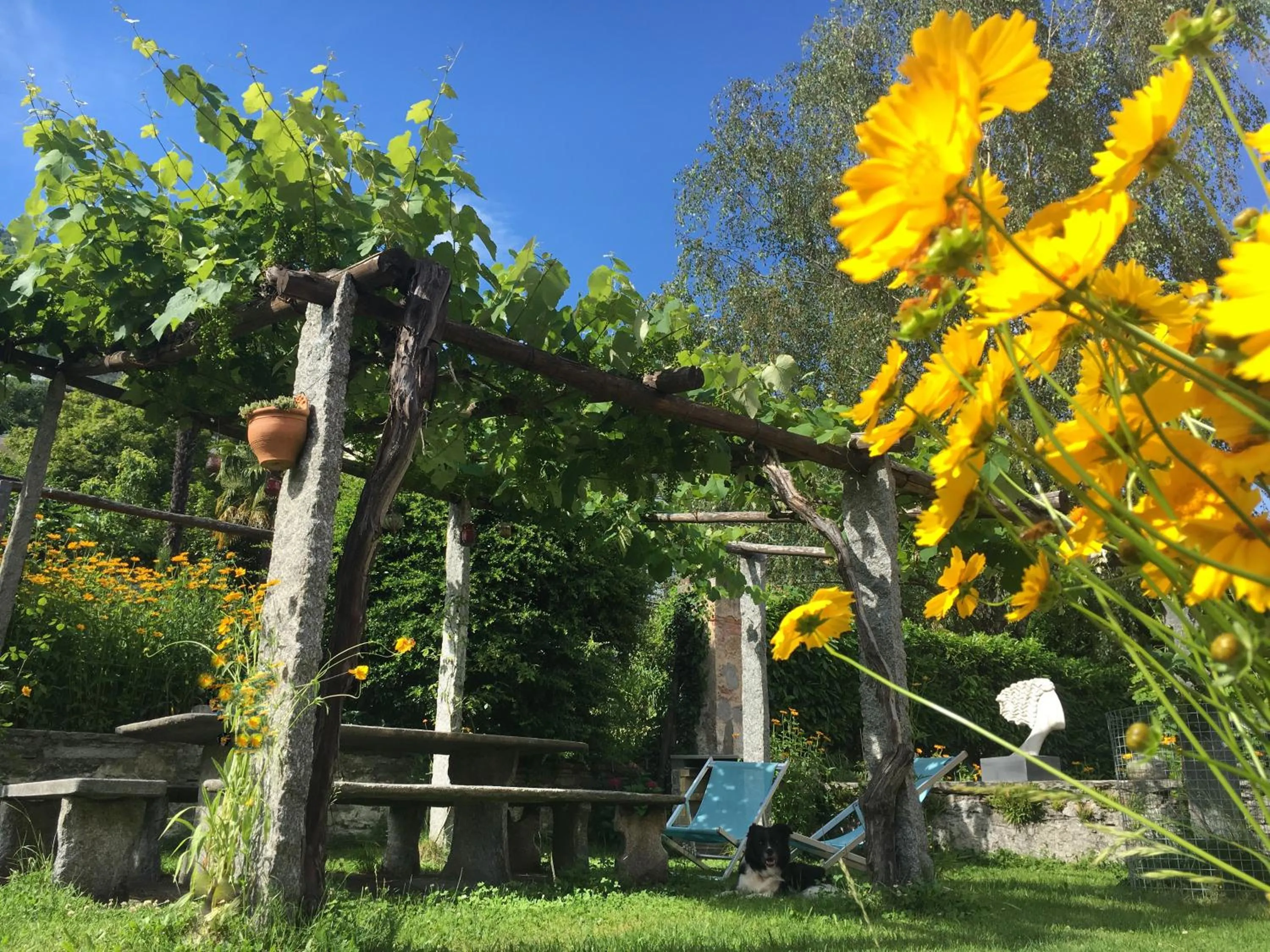Garden in B&B villa sempreverde