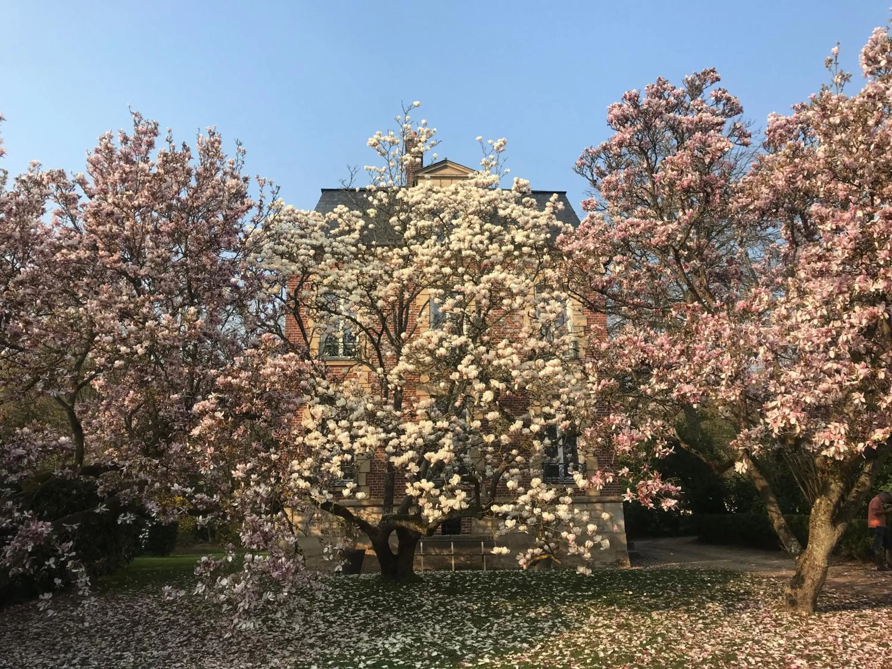 Natural landscape in L'Atelier des Magnolias